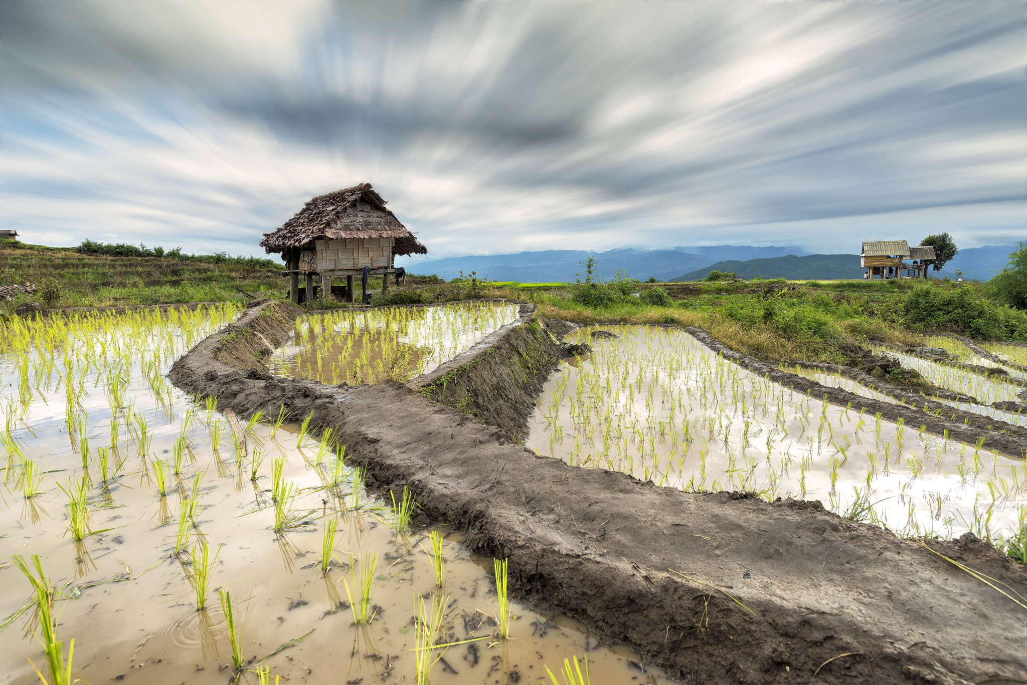 Nikon AF-S Nikkor 18-35mm F3.5-4.5G ED sample photo. Terraced rice field in pa pong pieng , mae chaem, chiang mai, th photography