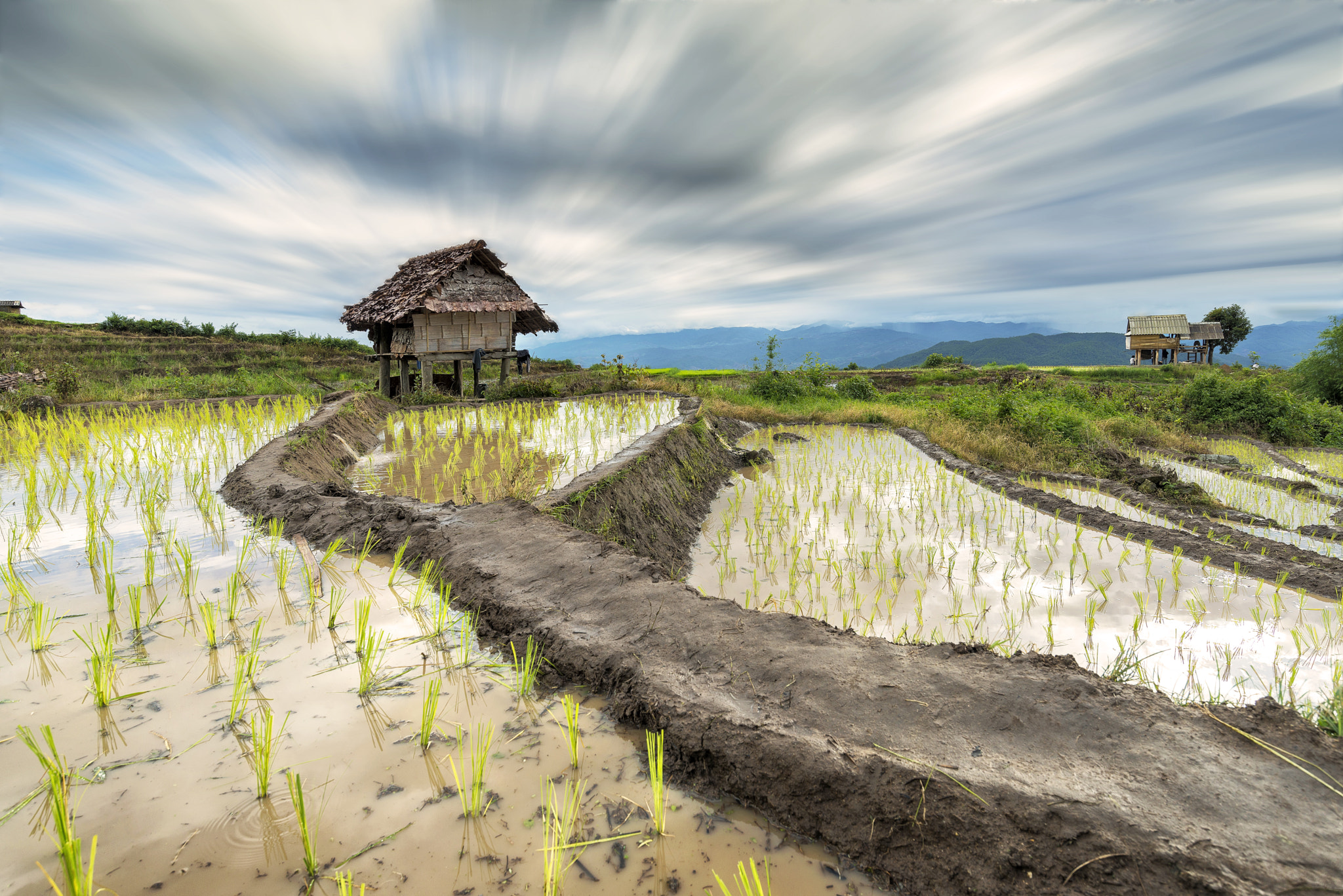 Nikon D800 + Nikon AF-S Nikkor 18-35mm F3.5-4.5G ED sample photo. Terraced rice field in pa pong pieng , mae chaem, chiang mai, th photography