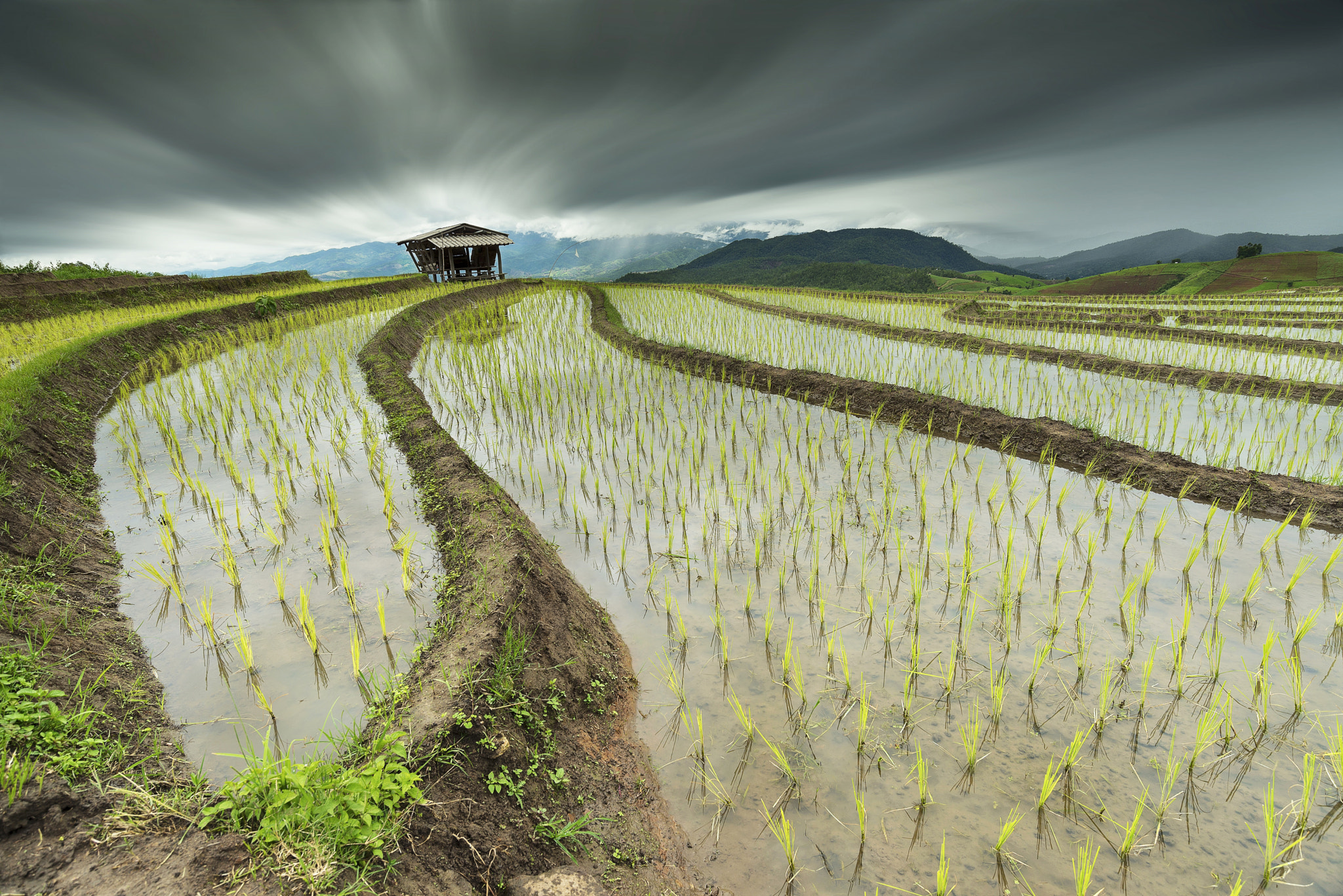 Nikon AF-S Nikkor 18-35mm F3.5-4.5G ED sample photo. Terraced rice fields in thailand photography