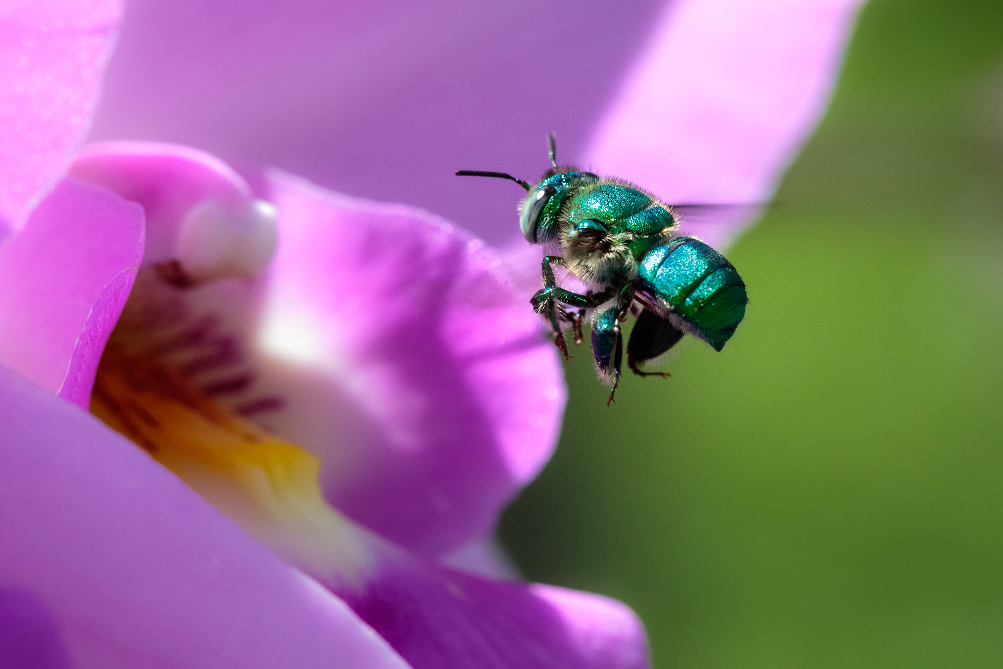Canon EF 100mm F2.8 Macro USM sample photo. Stay on target photography