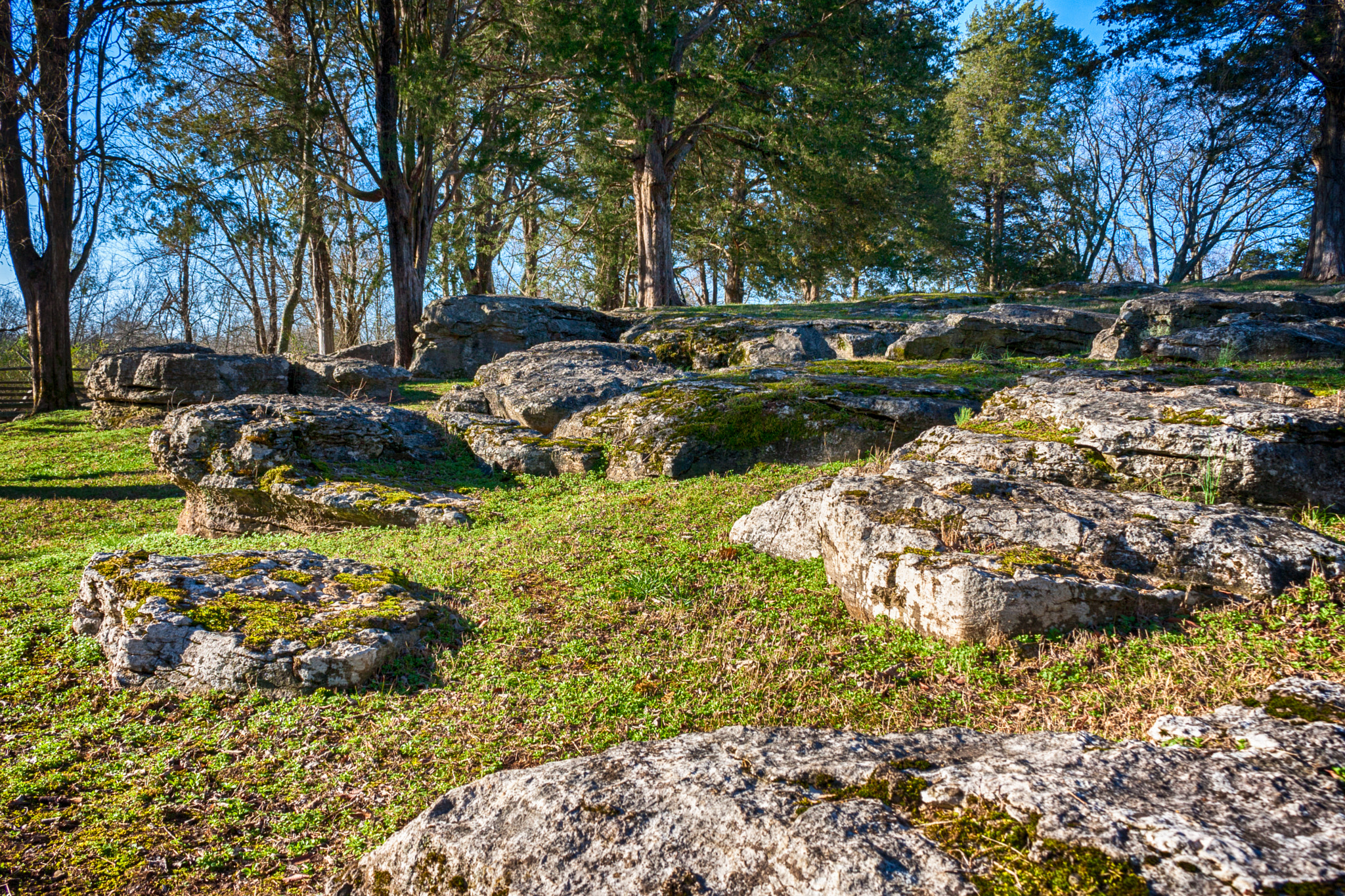 Canon EOS 40D sample photo. Rocky hillside photography