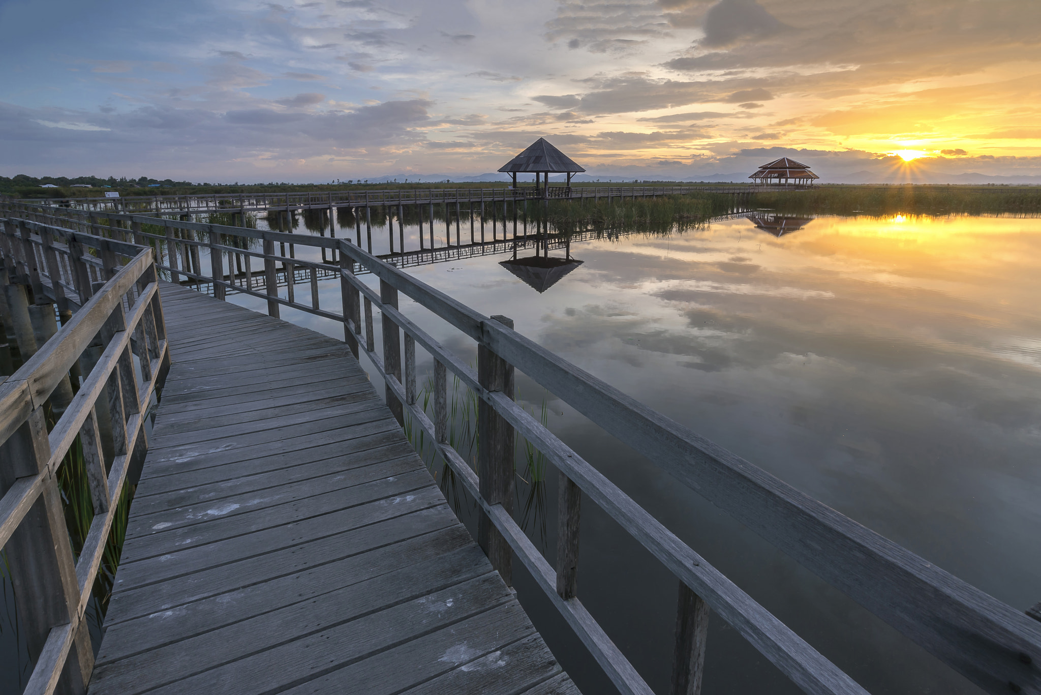 Nikon D800 + Nikon AF-S Nikkor 18-35mm F3.5-4.5G ED sample photo. Bung bua at khao sam roi yod national park, thailand photography