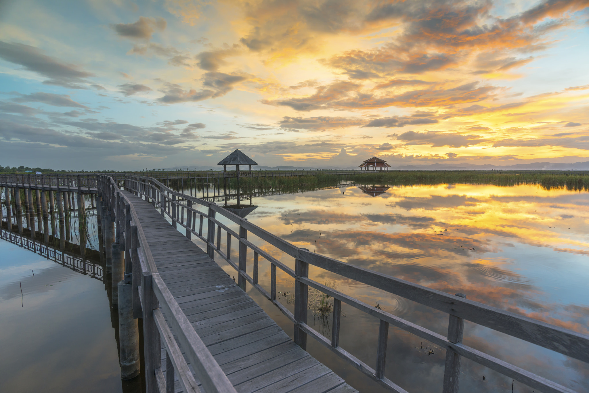 Nikon D800 + Nikon AF-S Nikkor 18-35mm F3.5-4.5G ED sample photo. Bung bua at khao sam roi yod national park, thailand photography