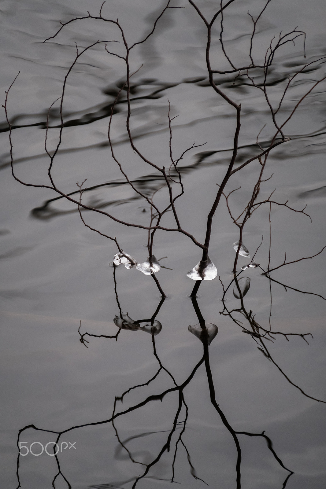 Fujifilm X-T2 sample photo. Water and ice photography