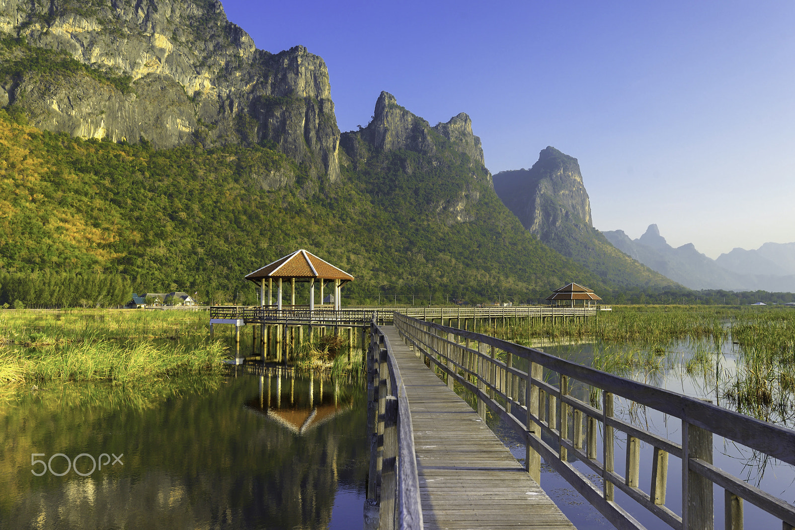 Nikon D800 + Nikon AF-S Nikkor 18-35mm F3.5-4.5G ED sample photo. Bung bua at khao sam roi yod national park, thailand photography