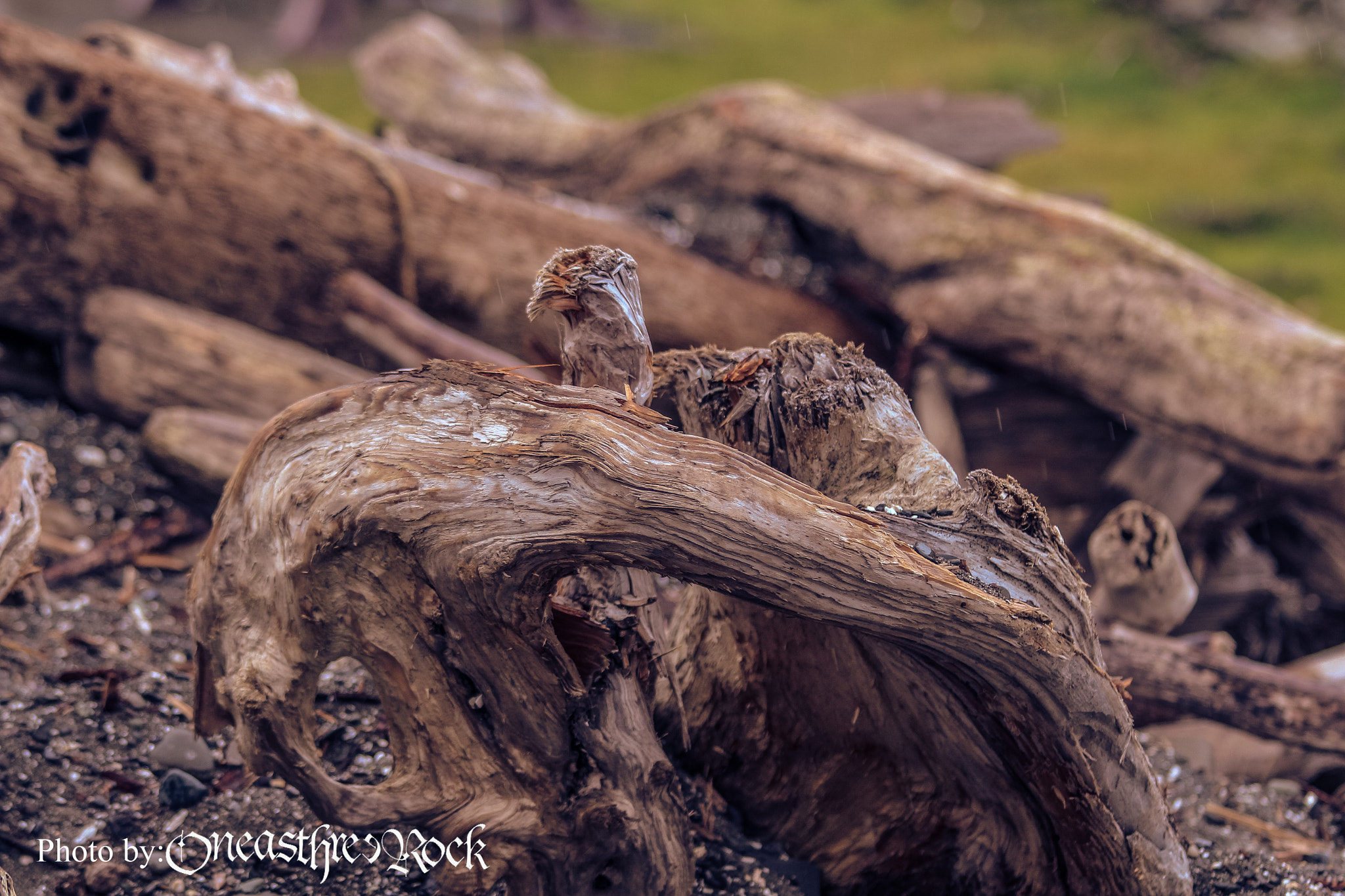 Canon EF 70-300mm F4-5.6 IS USM sample photo. Natural wooden eagle photography