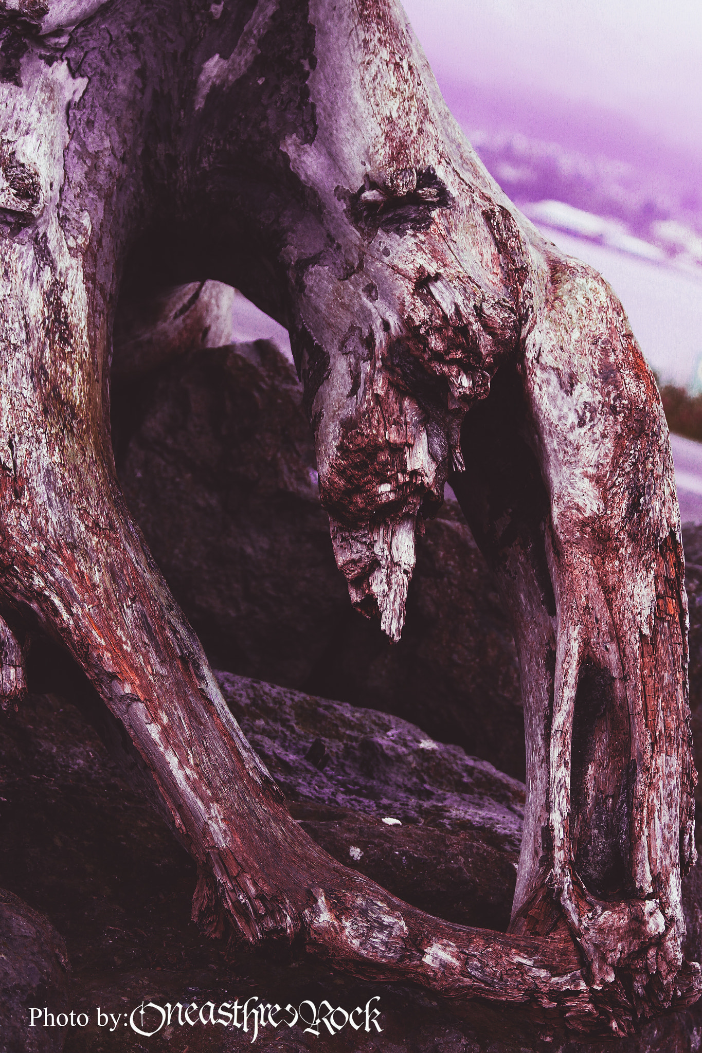 Canon EF 70-300mm F4-5.6 IS USM sample photo. A lost forgotten sad spirit photography