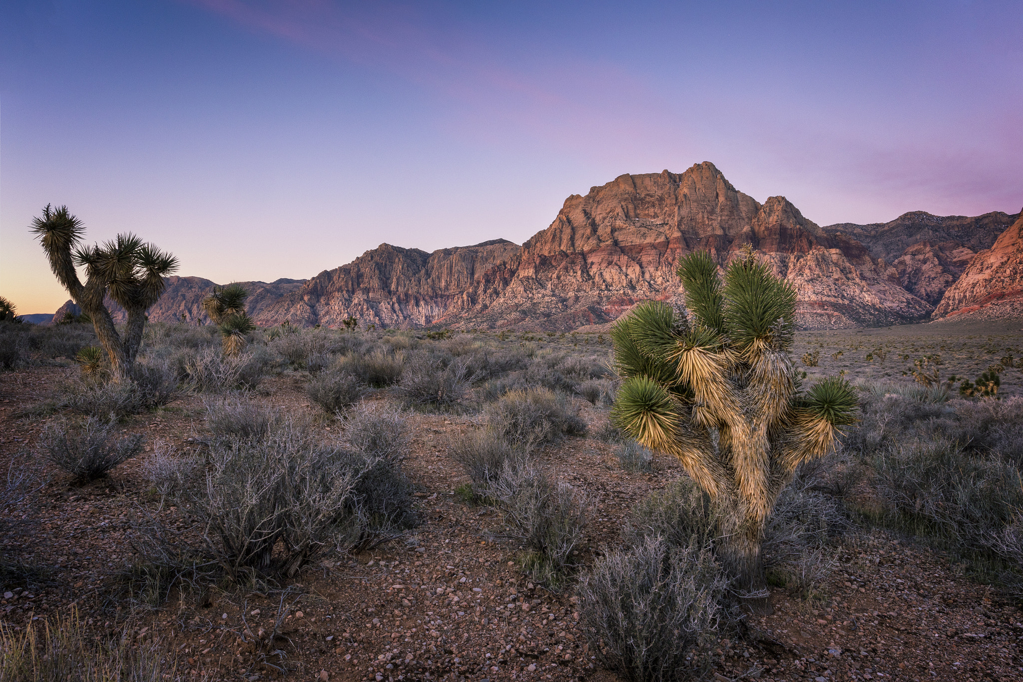 Canon EF 17-40mm F4L USM sample photo. Pink sky over red rock canyon photography