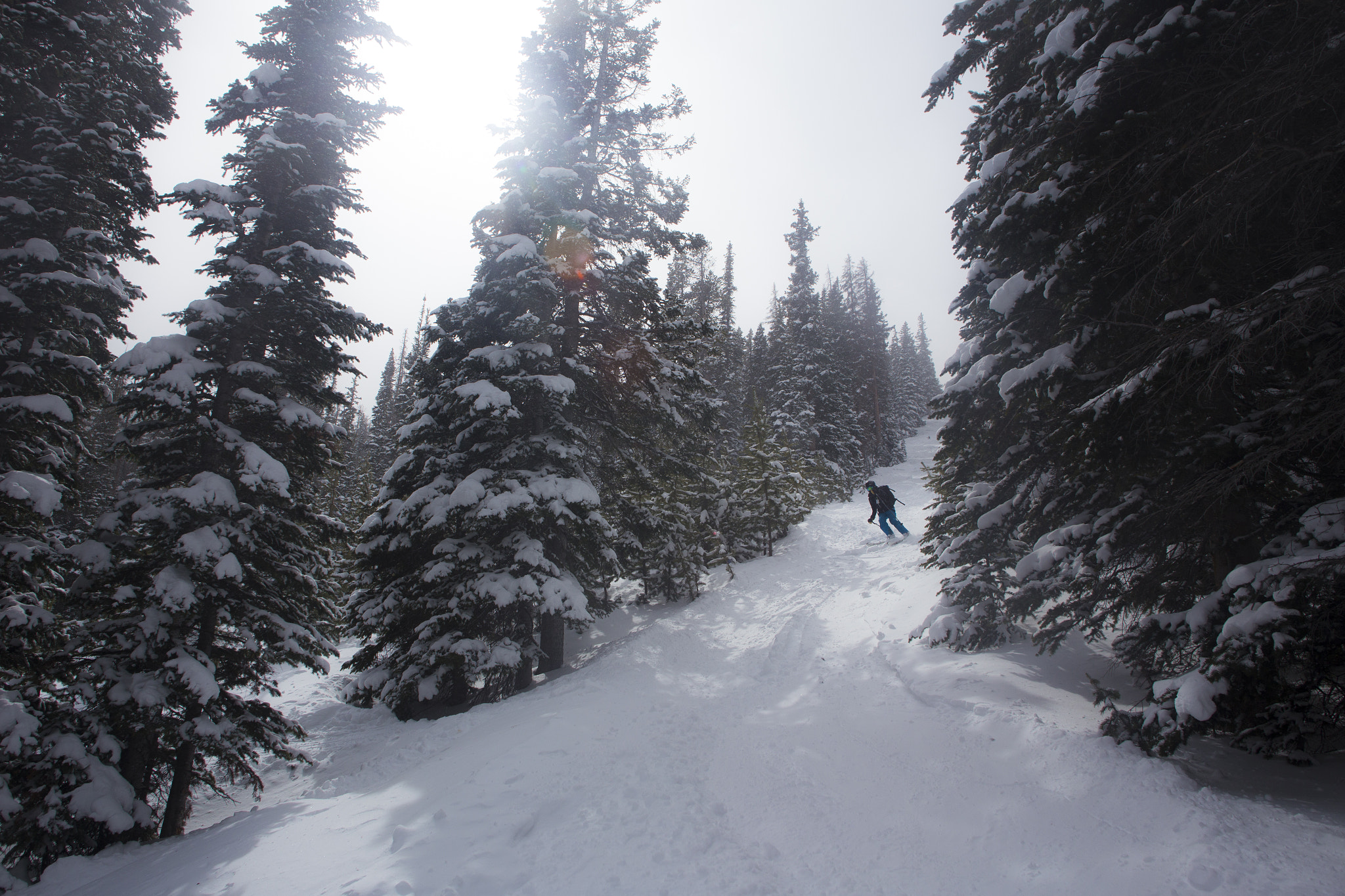 Canon EOS 6D + Sigma 24mm f/1.8 DG Macro EX sample photo. Kaylen skiing hidden valley photography