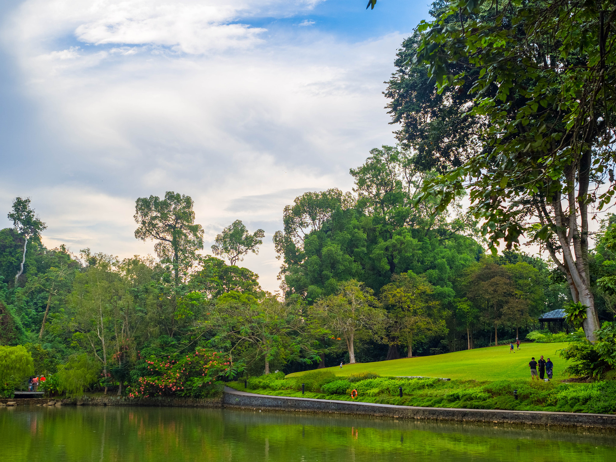 OLYMPUS M.25mm F1.2 sample photo. Botanic garden photography