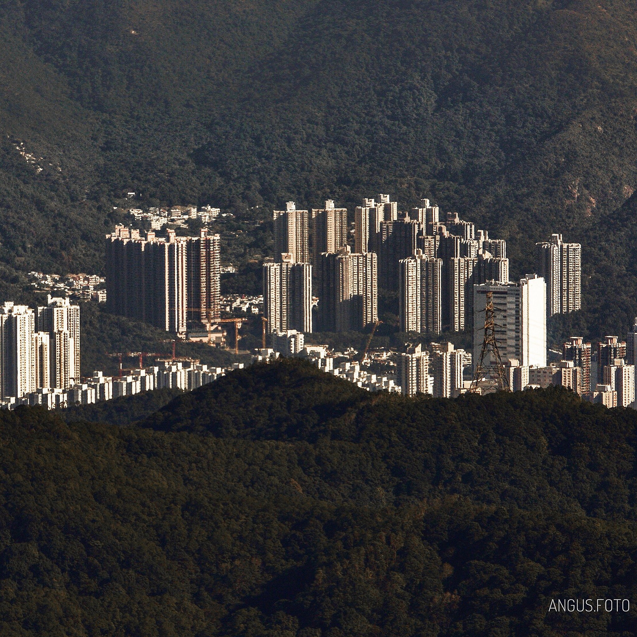 Nikon D810 sample photo. A special view of hk photography