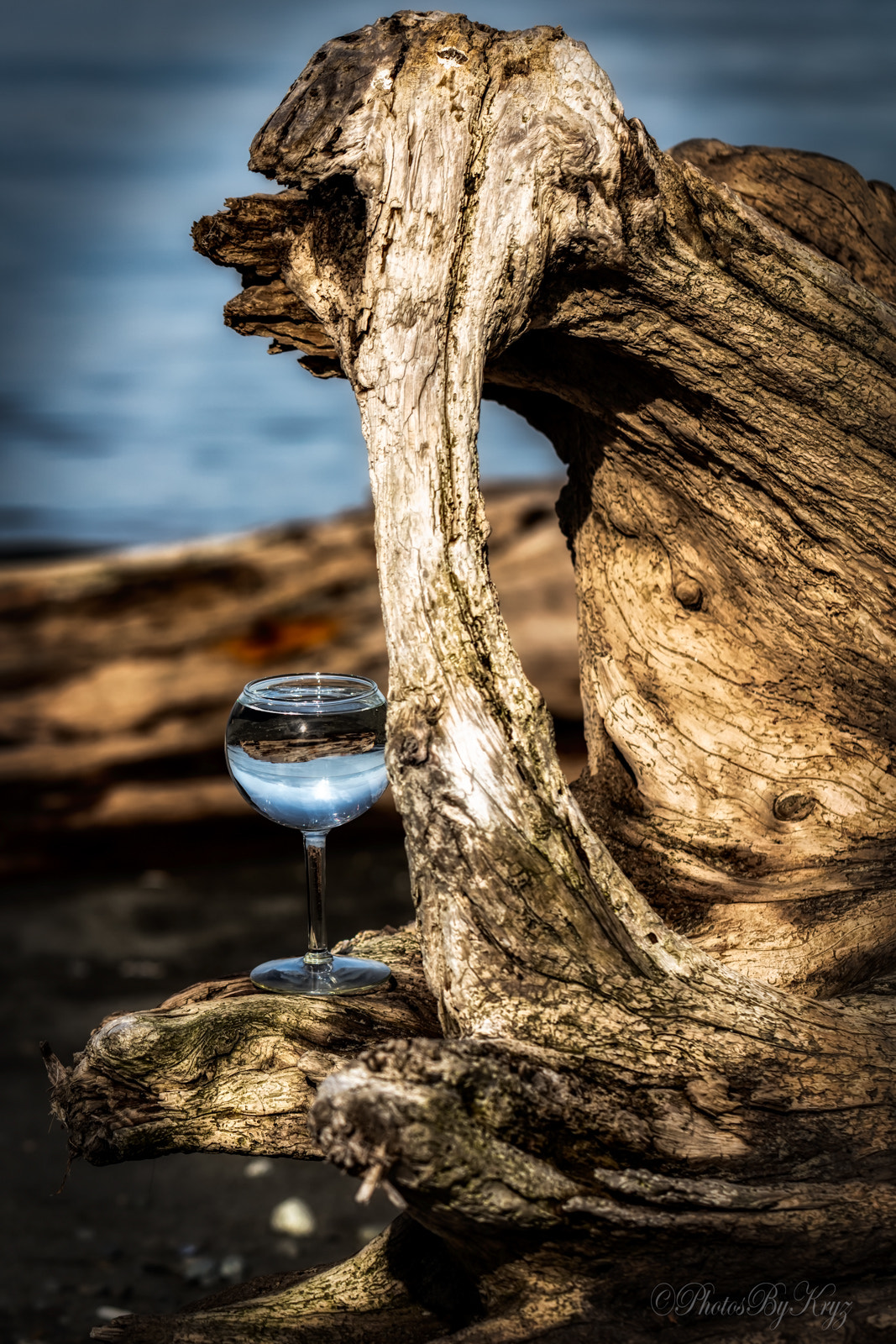 Canon EF 100mm F2.8L Macro IS USM sample photo. Driftwood refractions photography