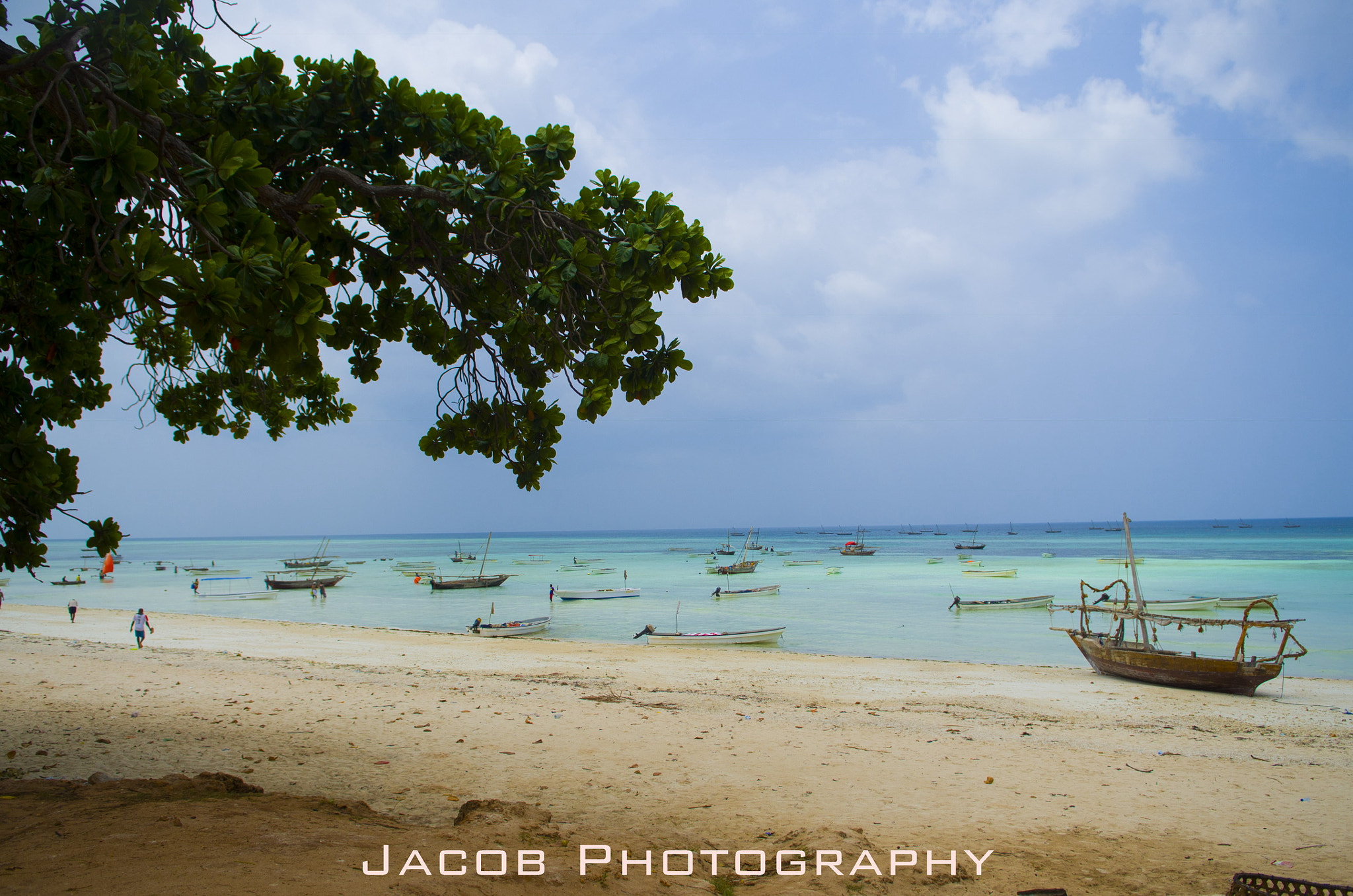 Nikon D7000 sample photo. Zanzibar dolphin bay photography
