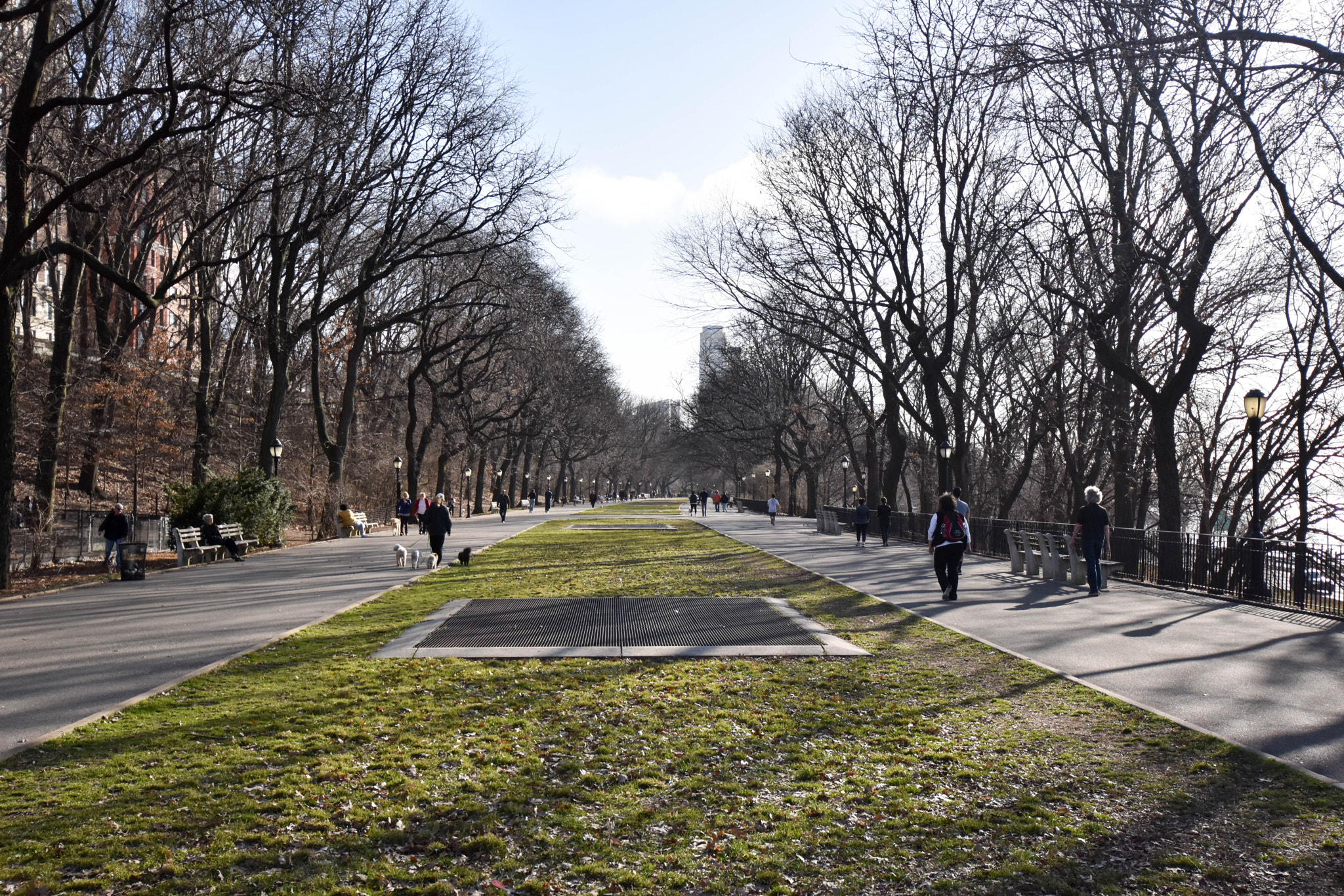 Nikon D5600 sample photo. Riverside parkway photography