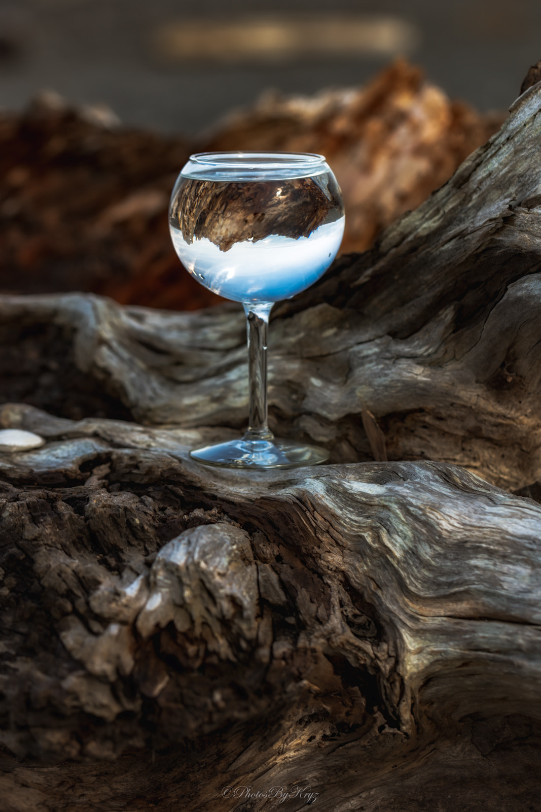 Canon EF 100mm F2.8L Macro IS USM sample photo. Wood n sky photography