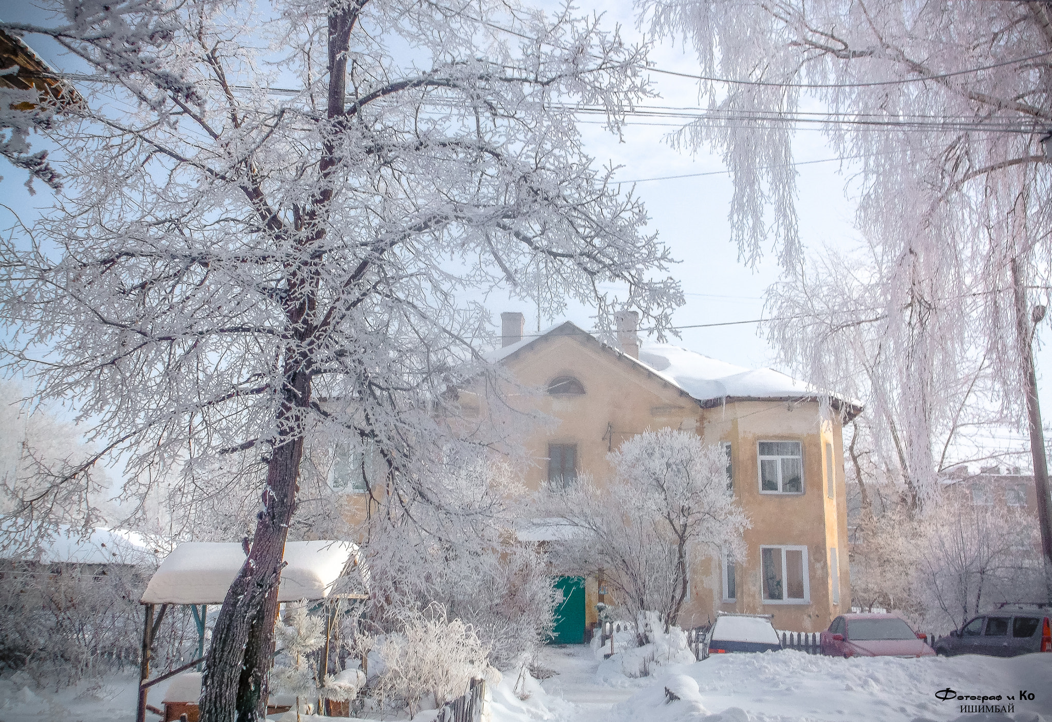 Fujifilm FinePix AX650 sample photo. In the snow photography