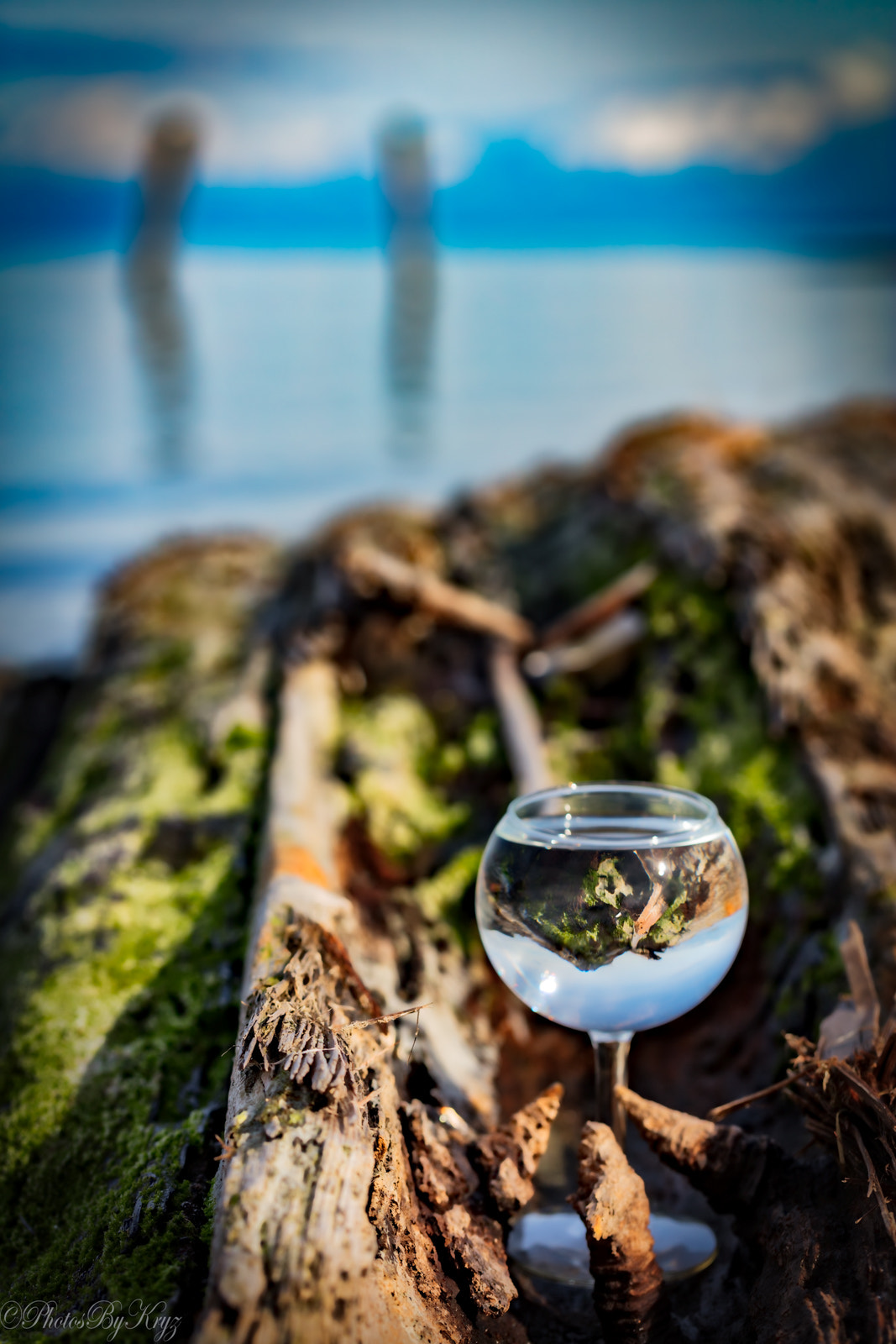 Canon EF 100mm F2.8L Macro IS USM sample photo. Mossy beach photography