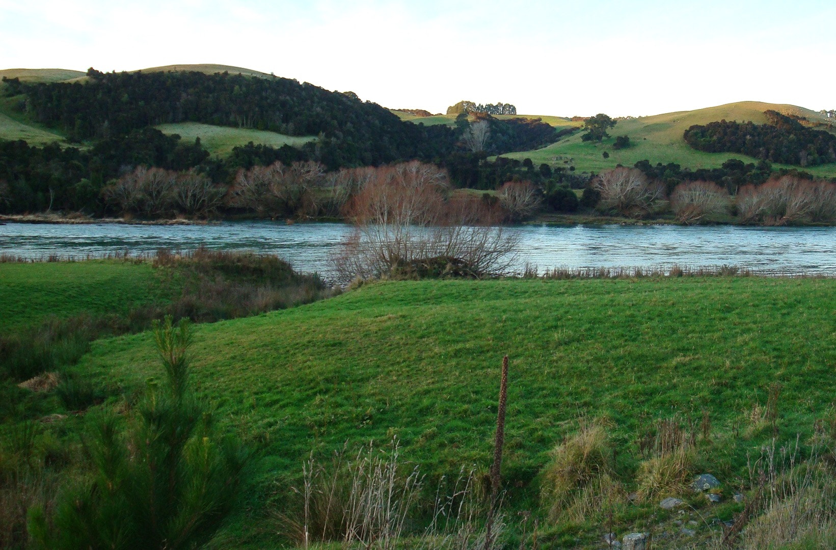 Sony Cyber-shot DSC-W150 sample photo. Sheep grazing district - new zealand photography