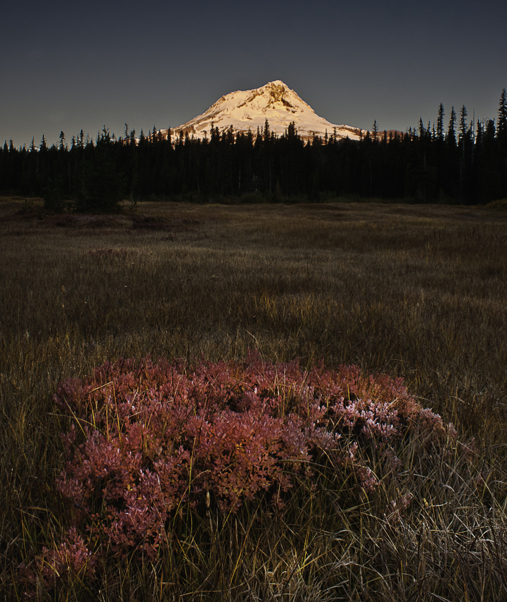 Sony Alpha DSLR-A700 sample photo. Sunrise mt hood photography