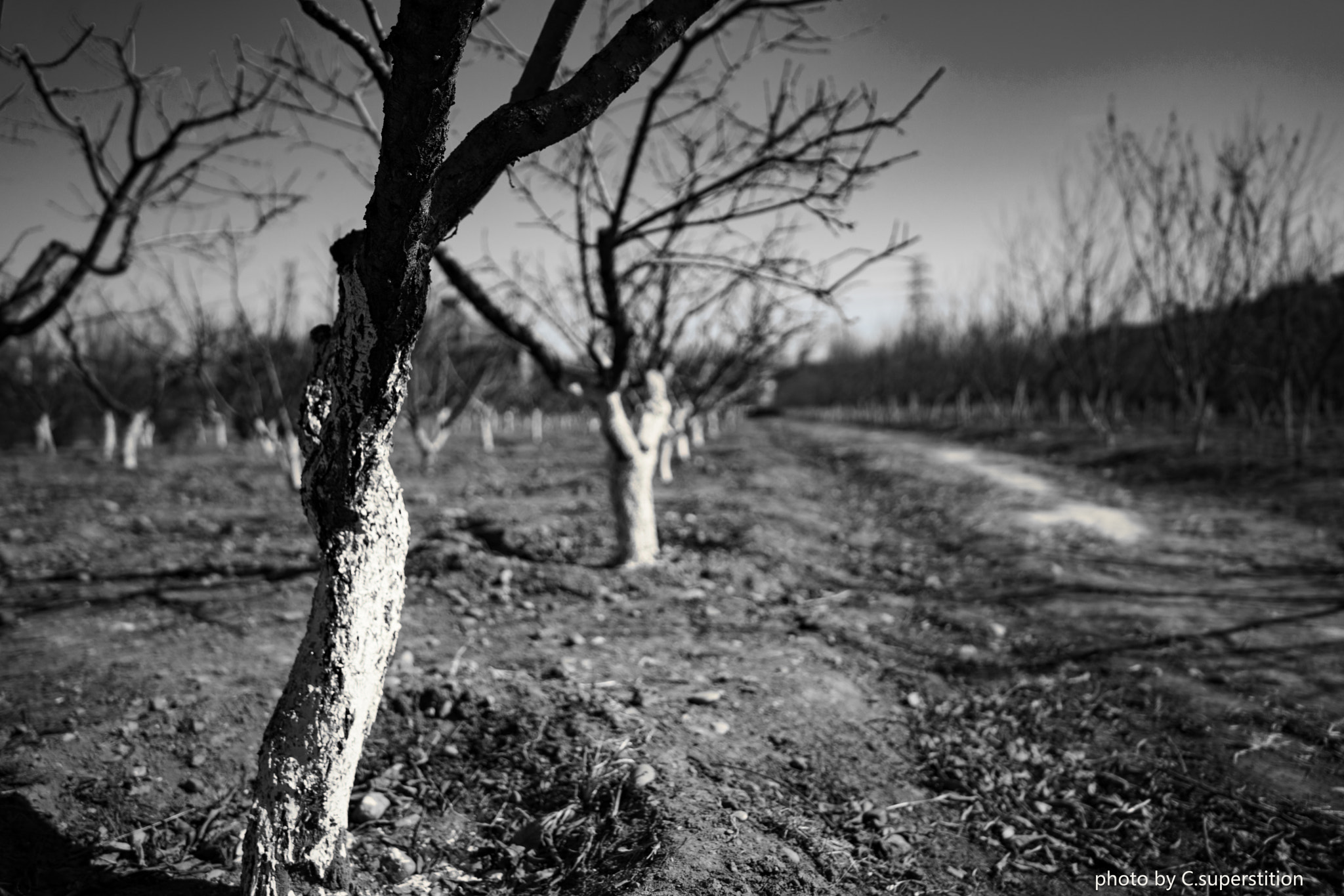 Sony a7 + ZEISS Batis 25mm F2 sample photo. 怡 photography