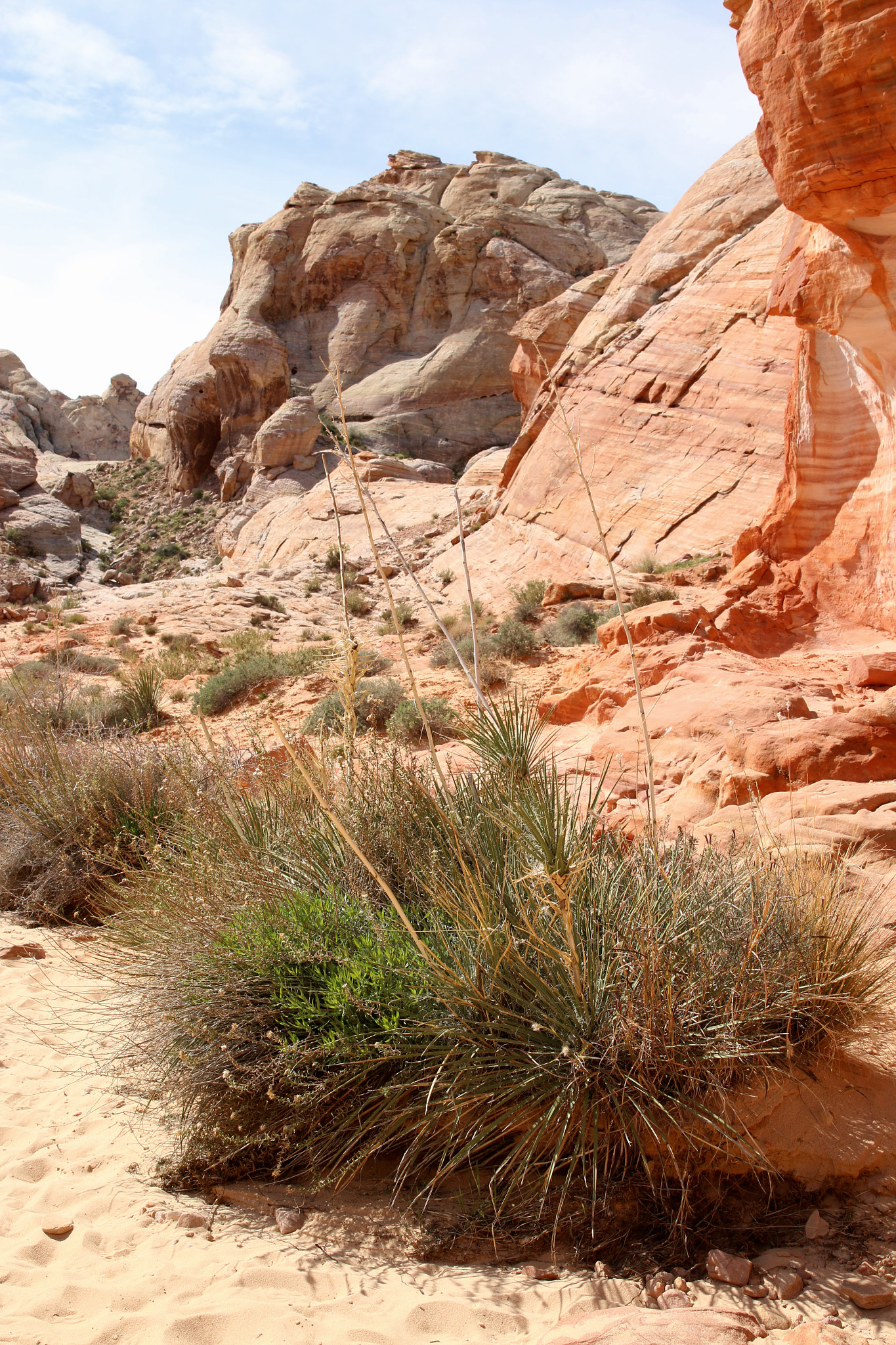 Canon EF 24-70mm F2.8L II USM sample photo. Fire canyon walk photography