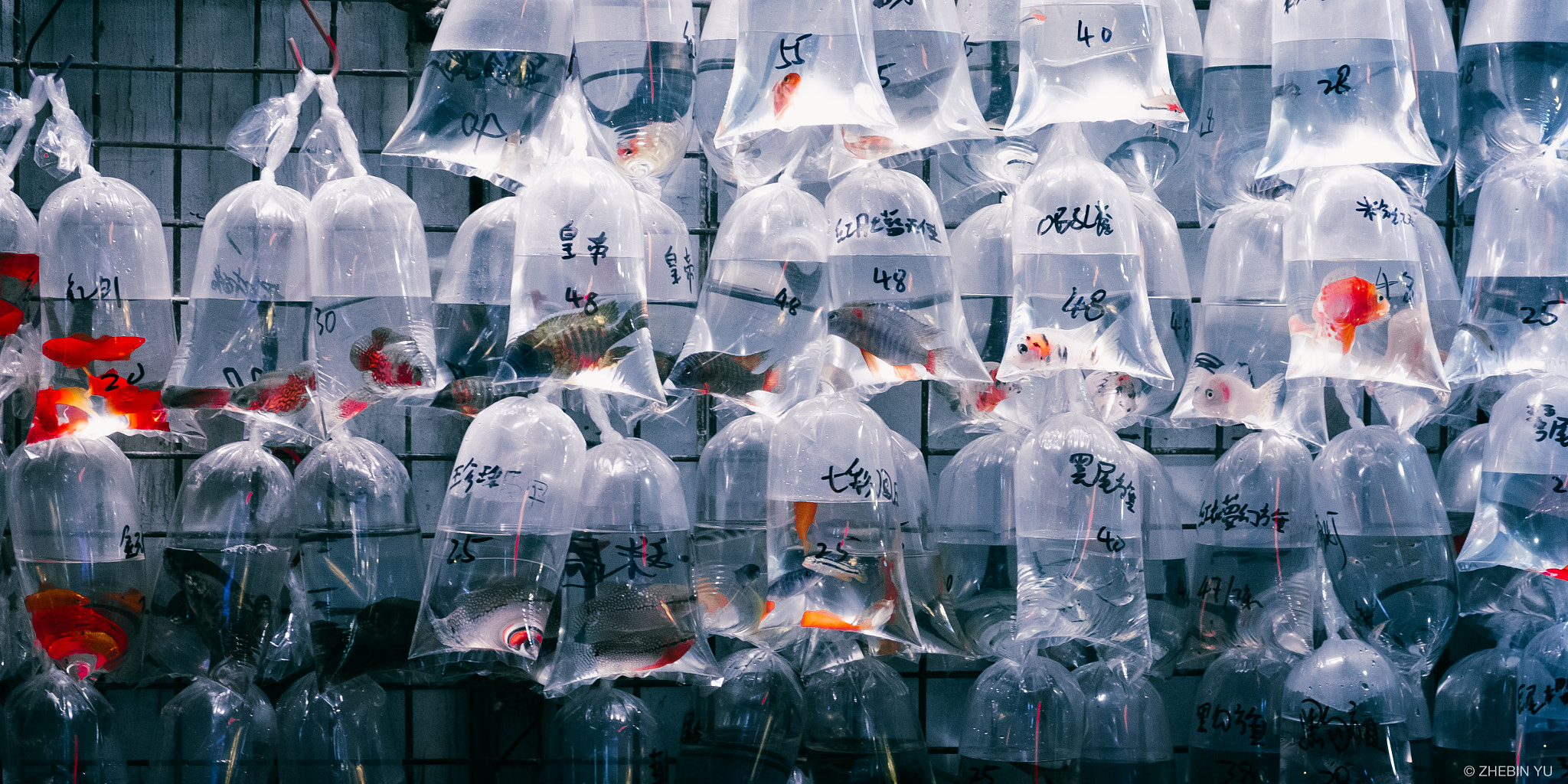 Fujifilm X-E2S + Fujifilm XF 18-55mm F2.8-4 R LM OIS sample photo. Waiting photography