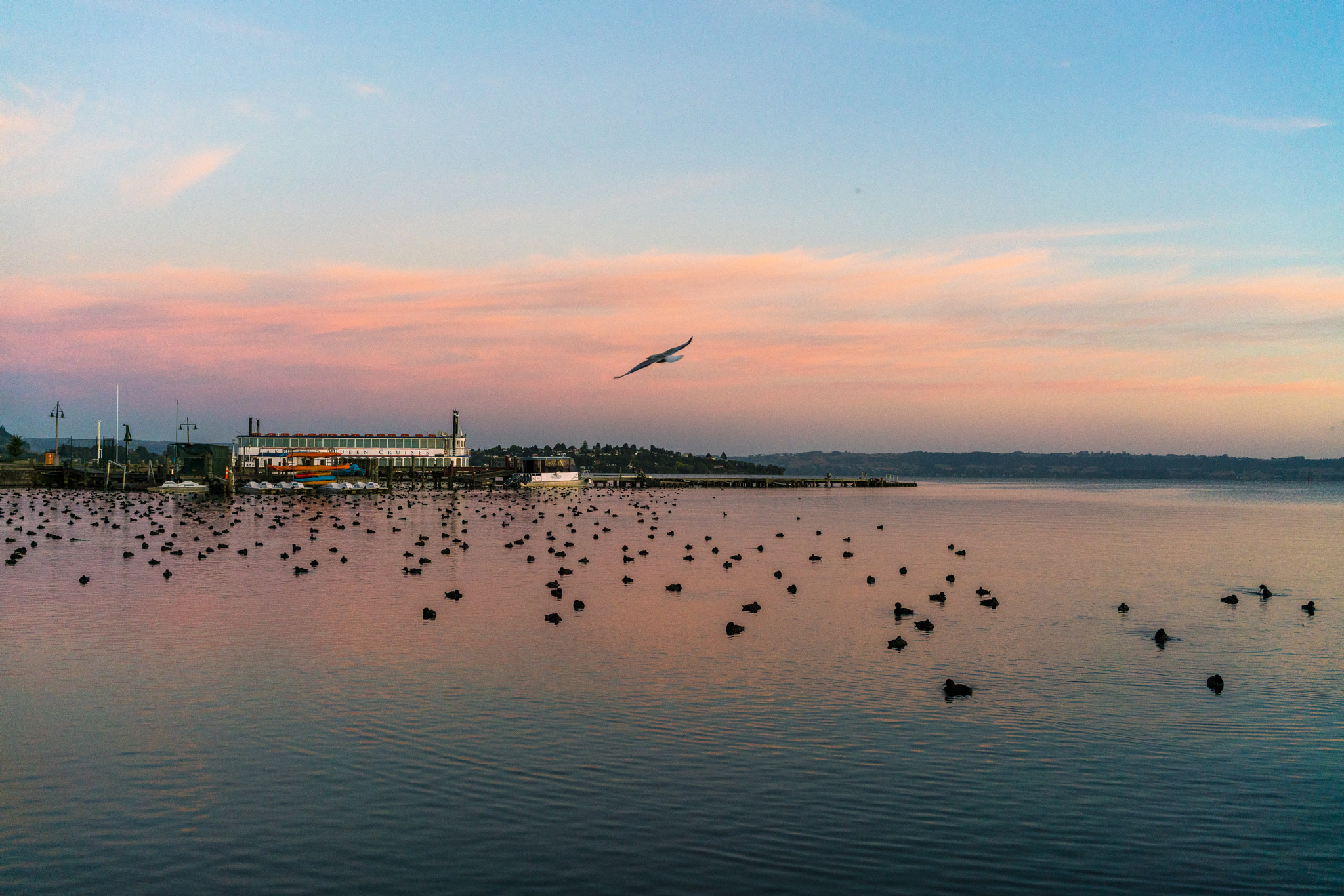 Sony a7R II + Sony Sonnar T* FE 35mm F2.8 ZA sample photo. Dawn at lake rotorua photography