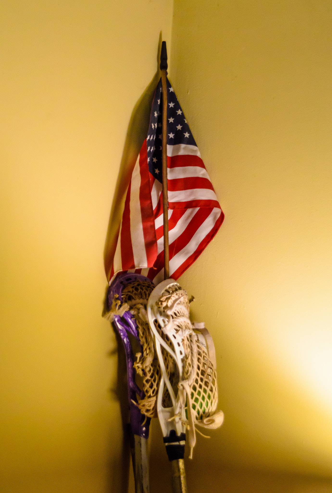 Nikon D7000 sample photo. Lacrosse, the original american game photography