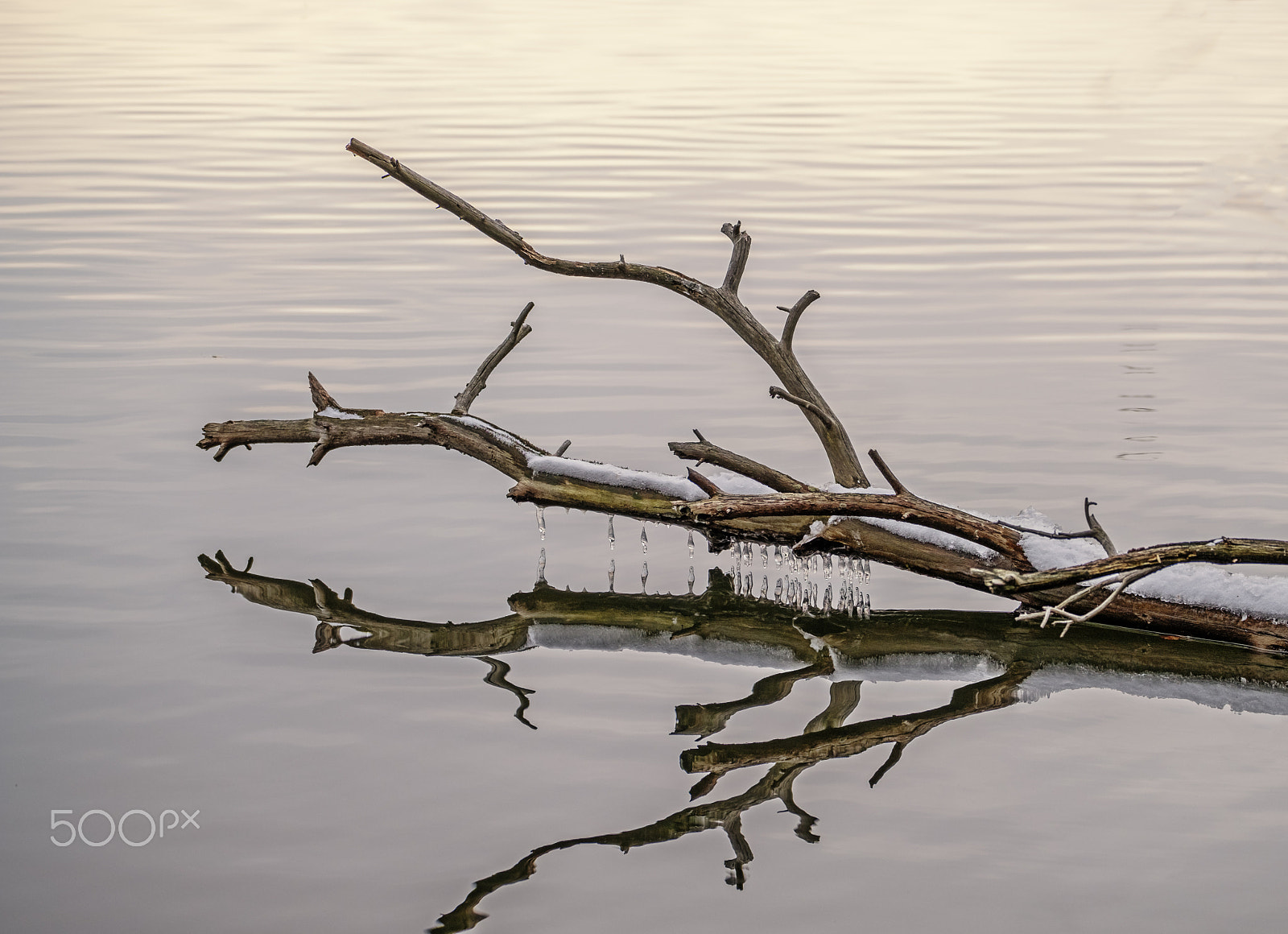 Fujifilm X-T2 sample photo. Ohio reflections photography