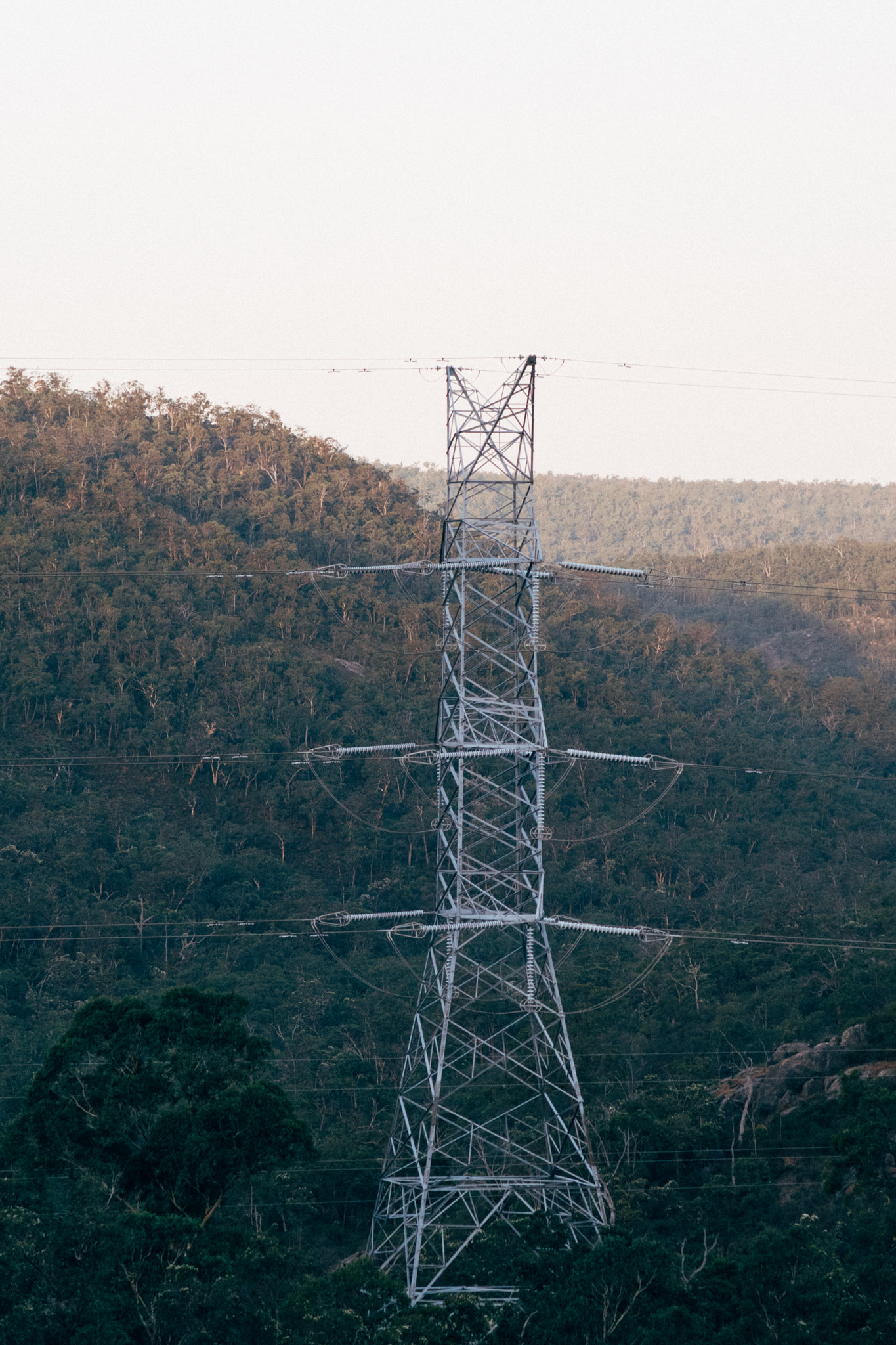 Nikon D500 sample photo. Kalamunda national park photography