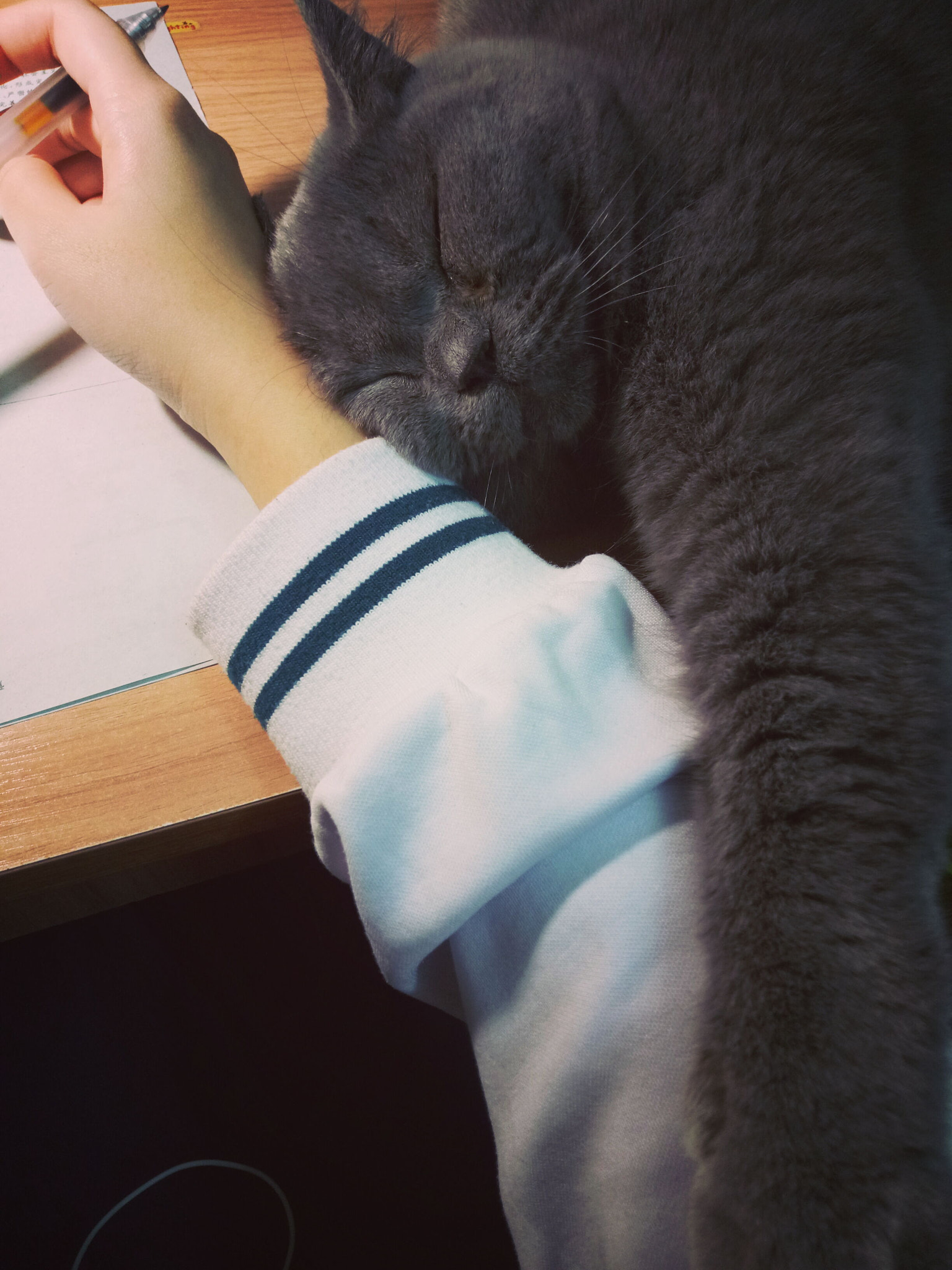 OPPO R9k sample photo