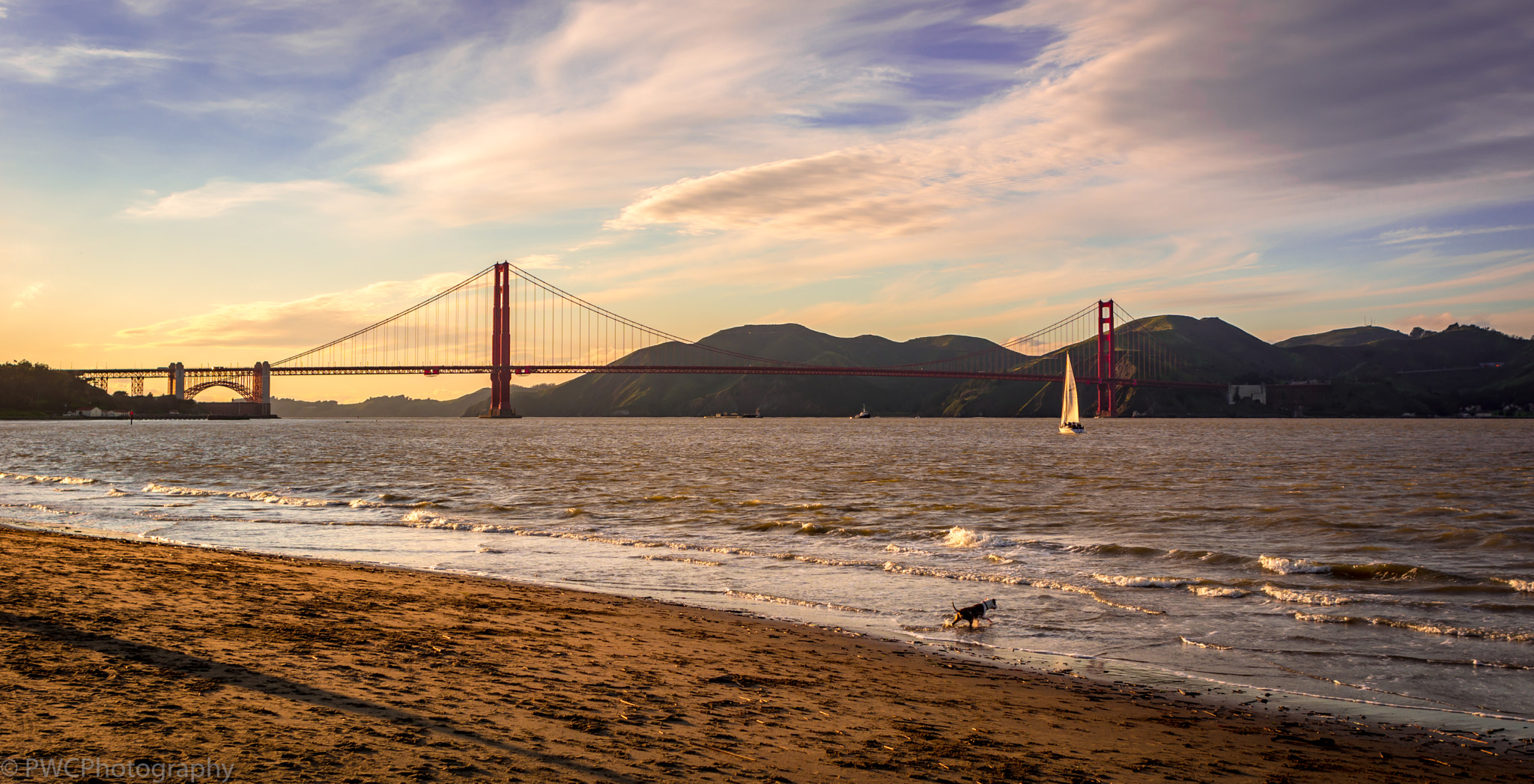 Nikon D7100 + Nikon AF Nikkor 24mm F2.8D sample photo. Golden gate with sail boat and dog photography