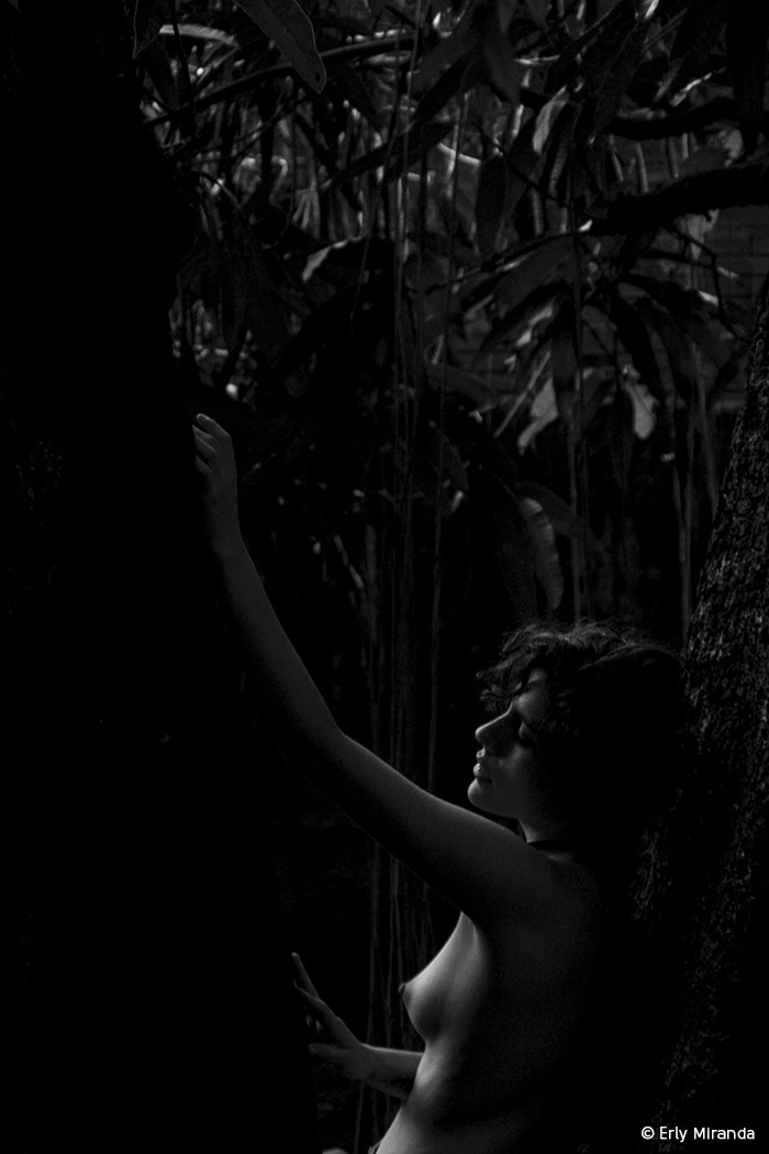 Canon EOS 100D (EOS Rebel SL1 / EOS Kiss X7) sample photo. Sidéreo photography