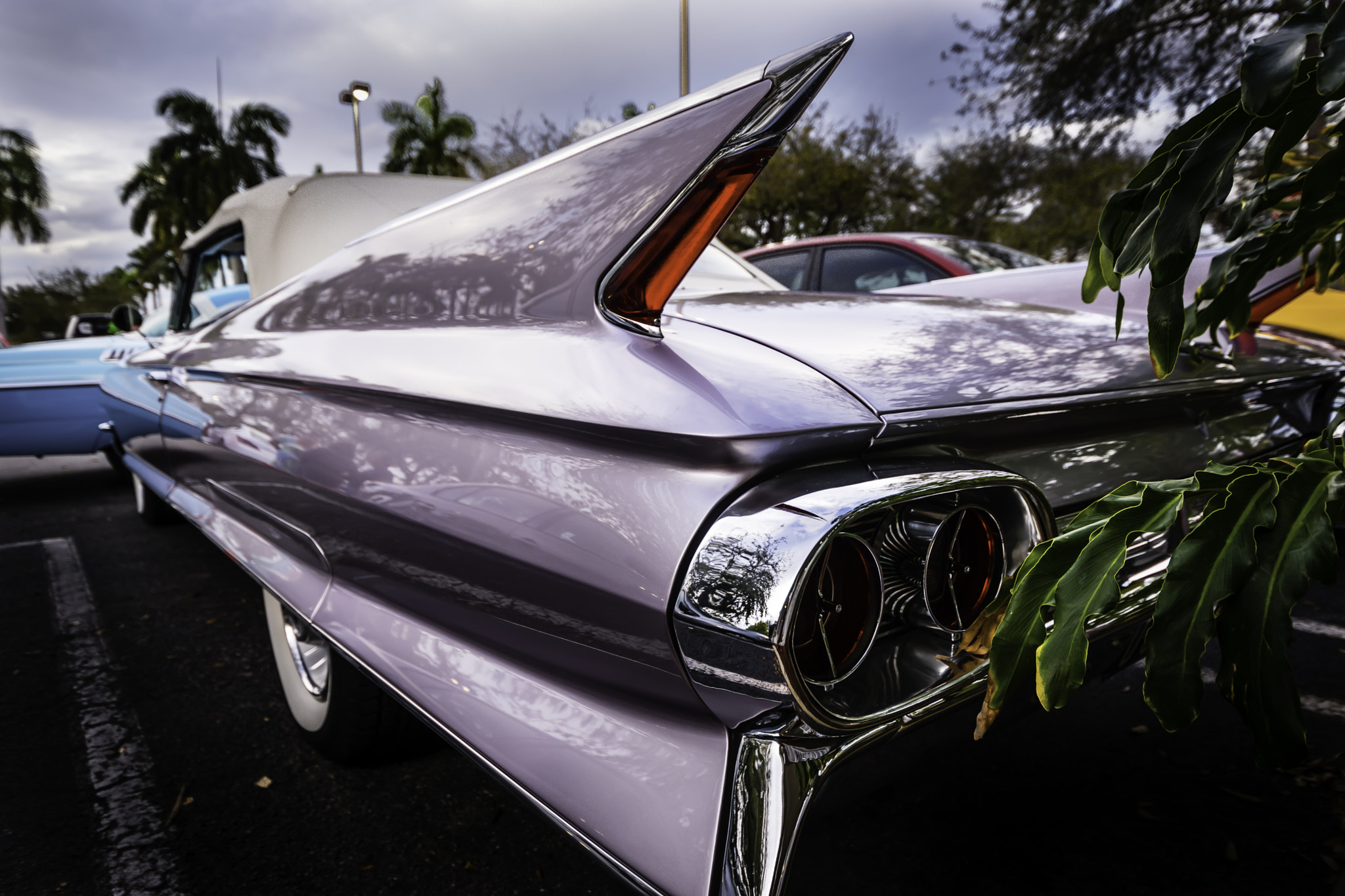 Nikon D5500 sample photo. American metal ii photography