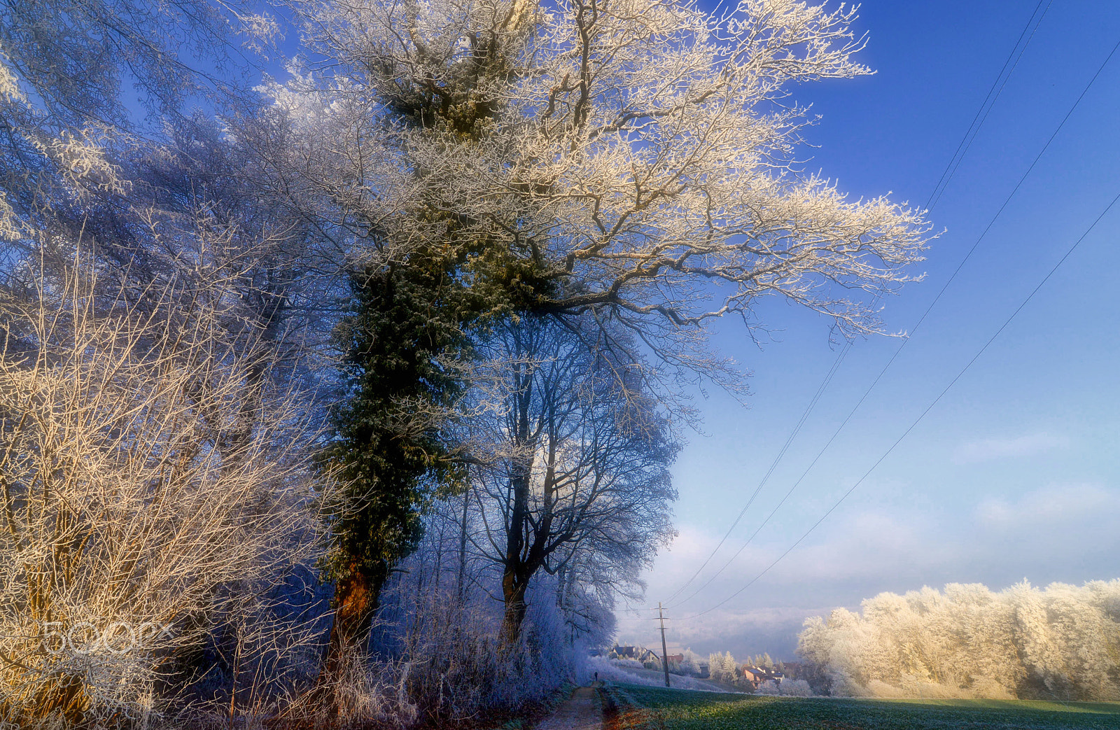 Tokina AT-X 16-28mm F2.8 Pro FX sample photo. Winter photography