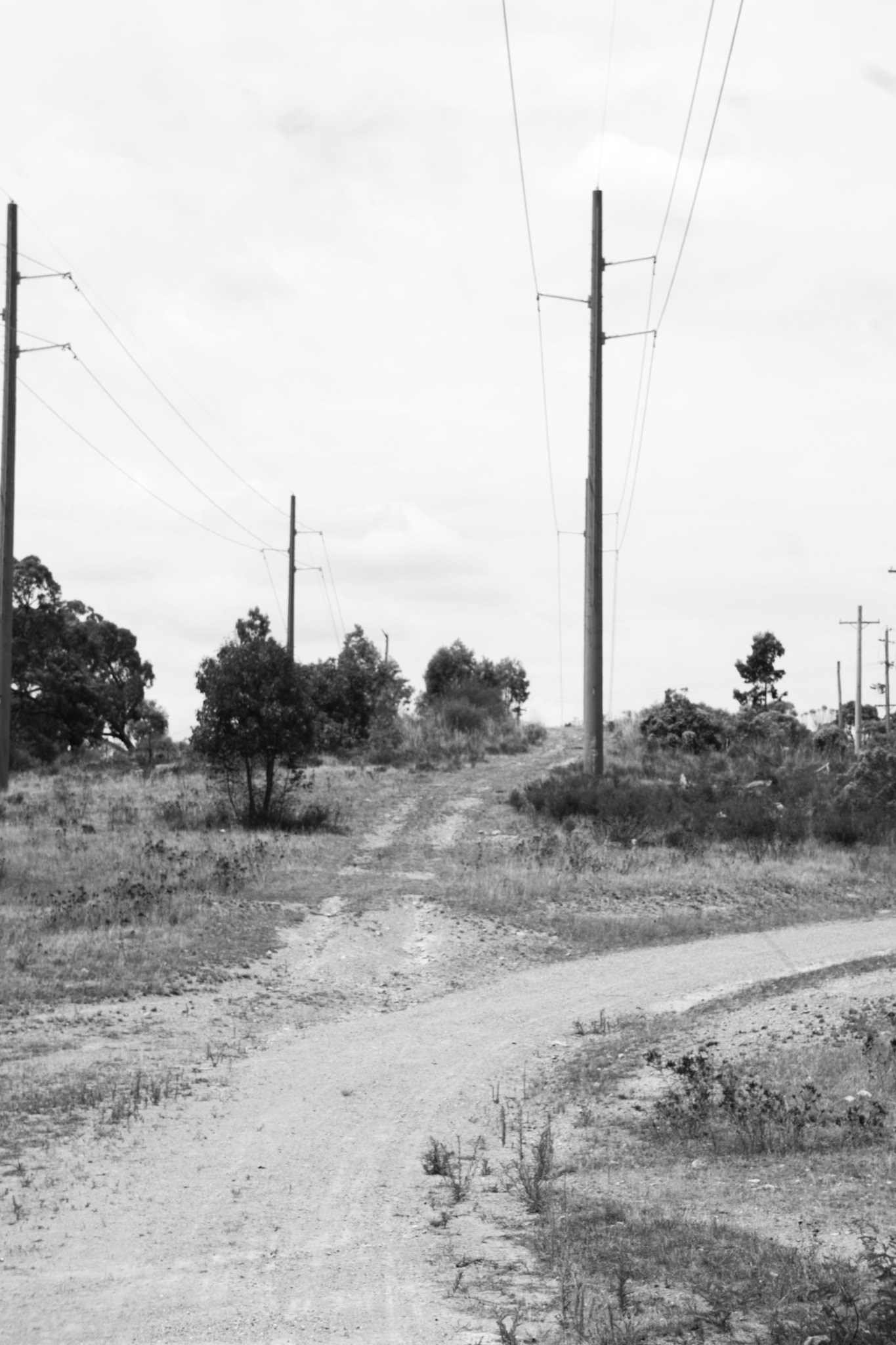 Sony a6000 + Sony E 18-55mm F3.5-5.6 OSS sample photo. Back road to everywhere photography