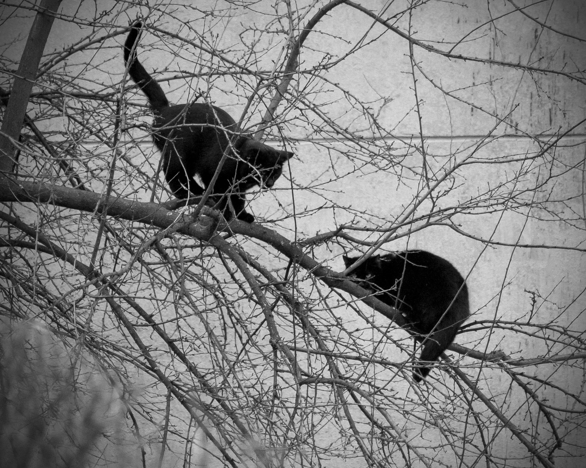 Canon EOS 60D sample photo. Spring is coming :-) photography