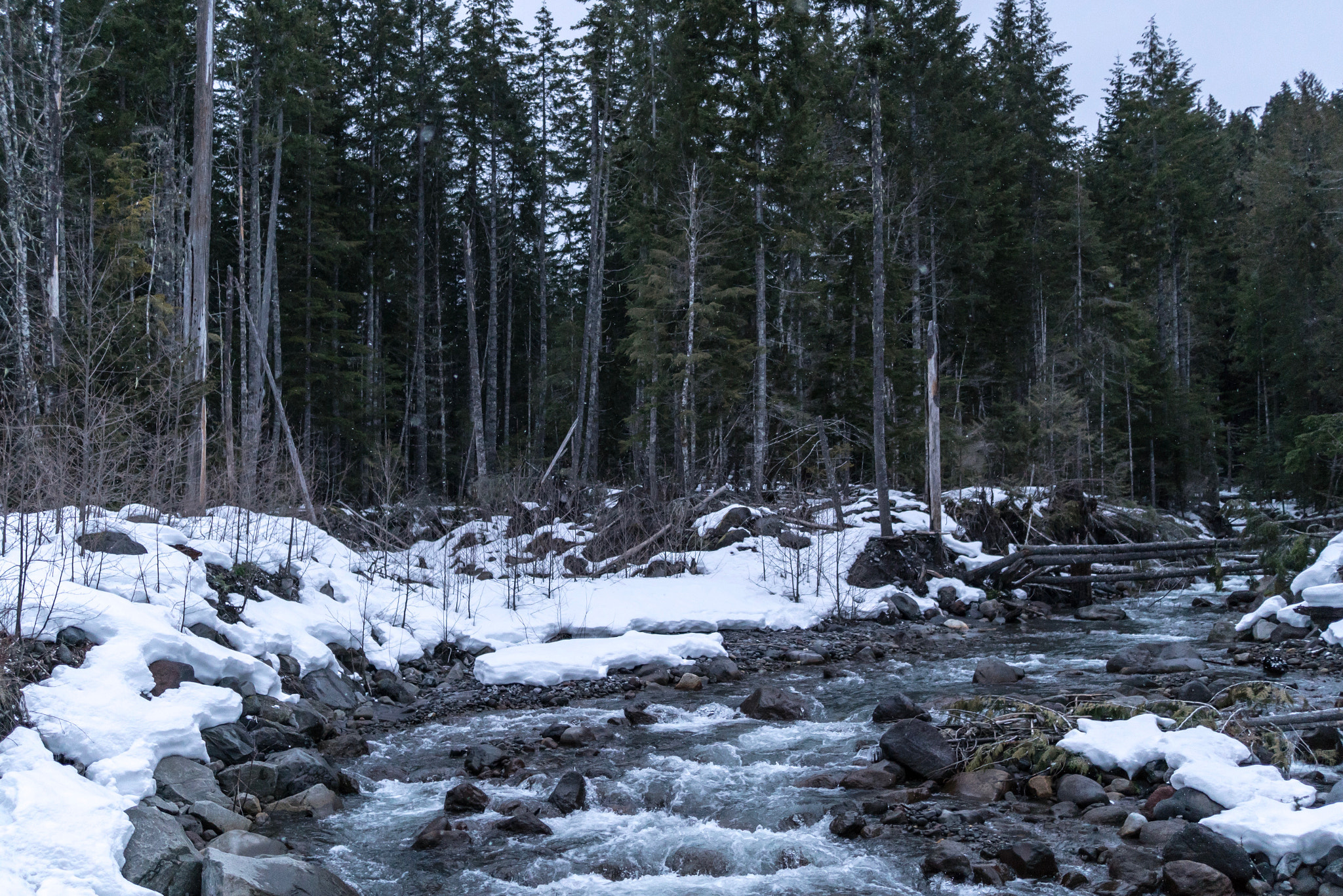 Sony Sonnar T* E 24mm F1.8 ZA sample photo. Mt rainier in the afternoon. photography