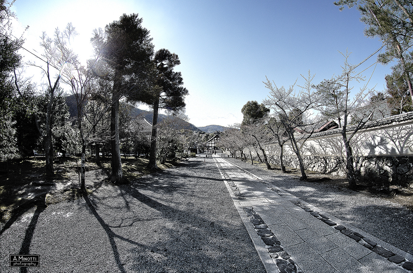 Nikon D7000 + Samyang 8mm F3.5 Aspherical IF MC Fisheye sample photo. Tenryu-ji - kyoto, japan photography