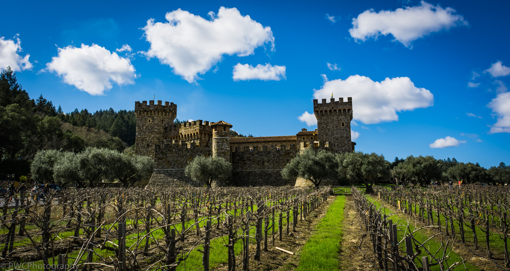 Nikon D7100 + Nikon AF Nikkor 20mm F2.8D sample photo. Castello di amorosa photography