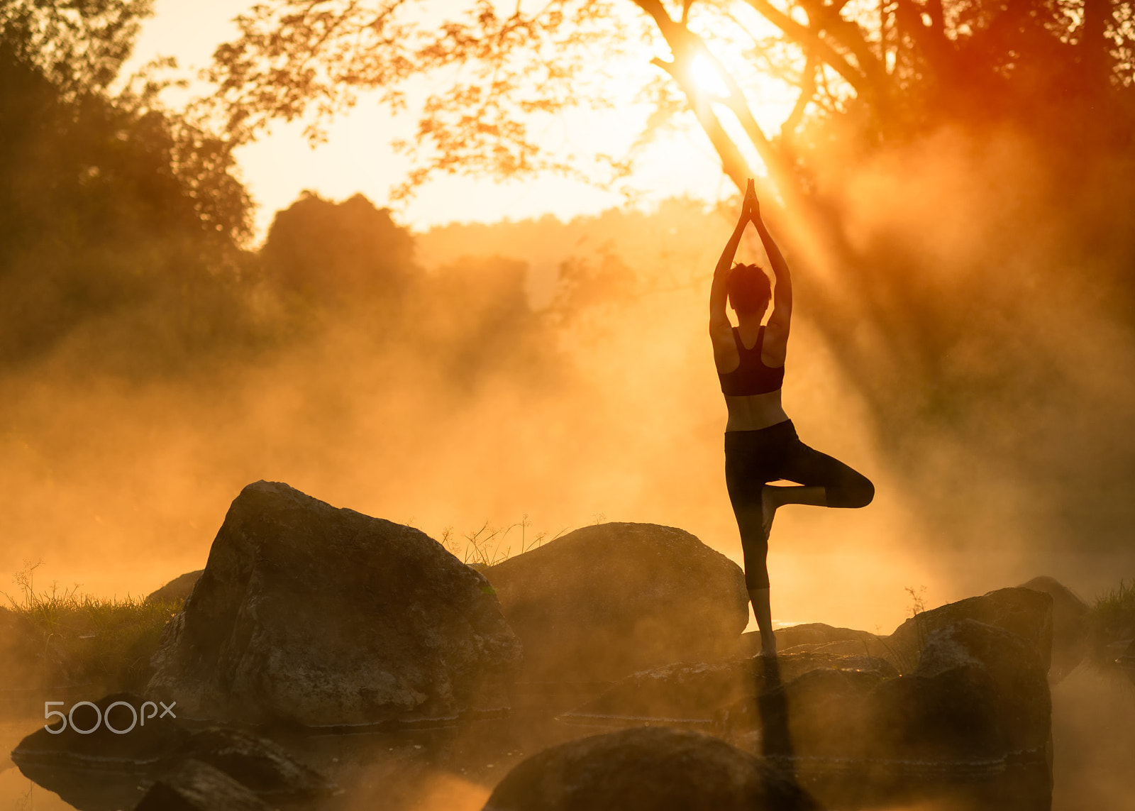 Nikon D810 sample photo. Silhouette yoga, asia young woman practicing yoga in the forrest  and sport yoga,yoga relax,yoga... photography