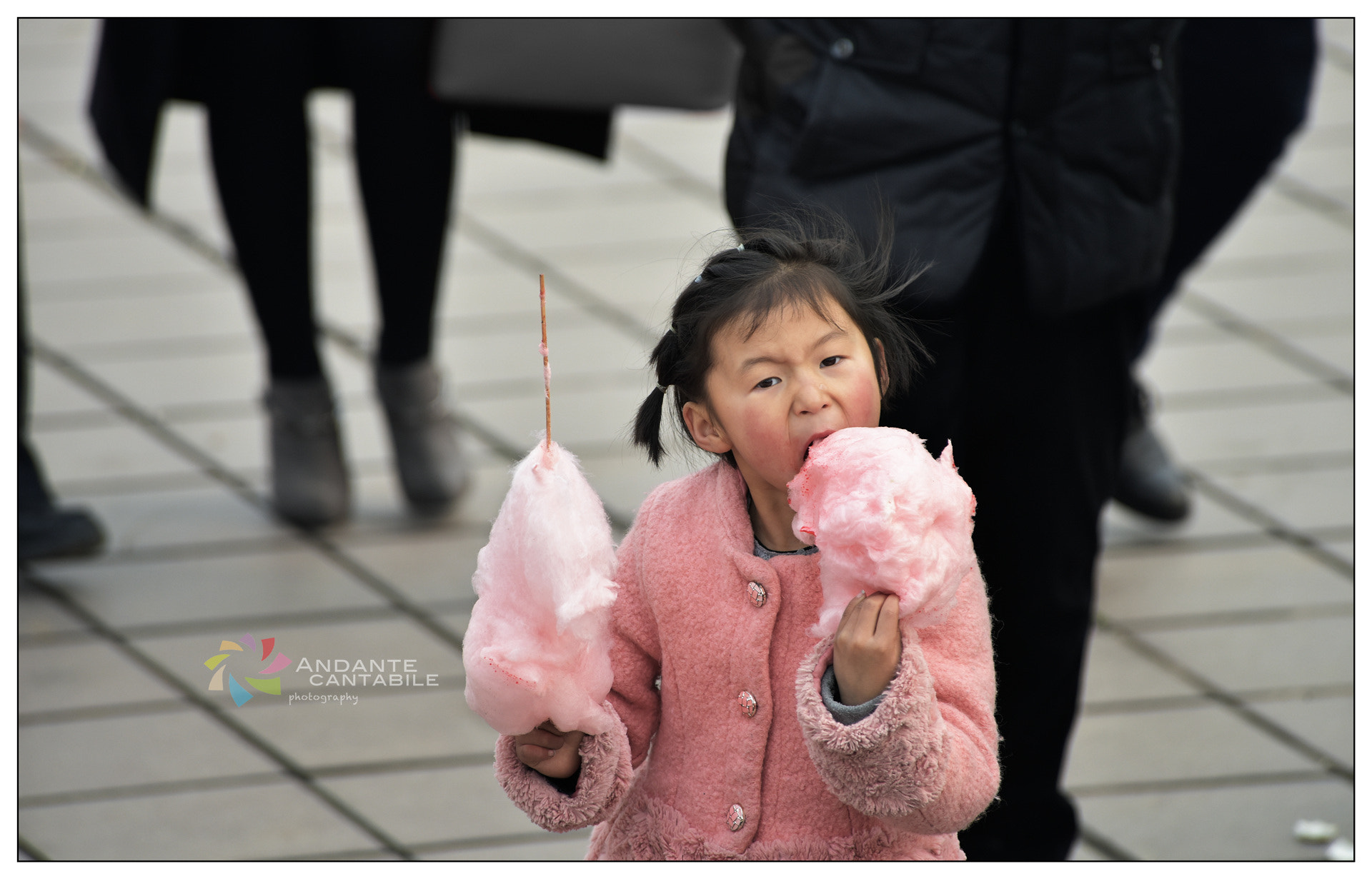 Nikon D810 sample photo. Untitled photography