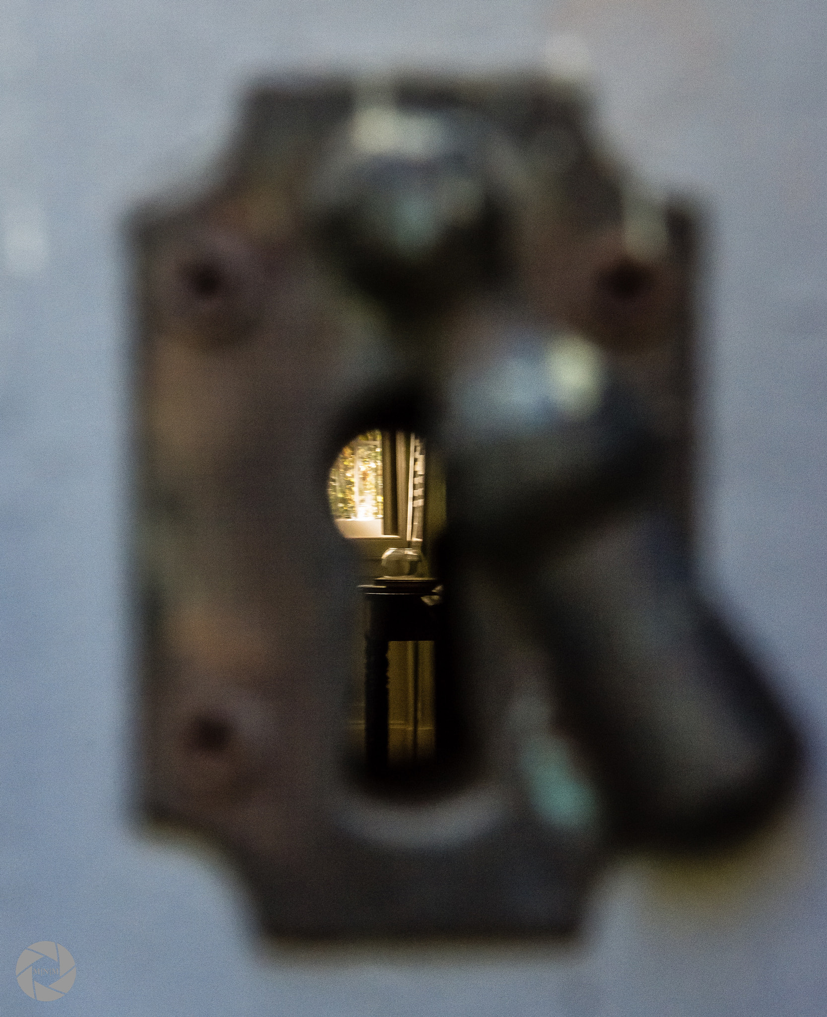 Nikon D7200 sample photo. Just playing with dof photography