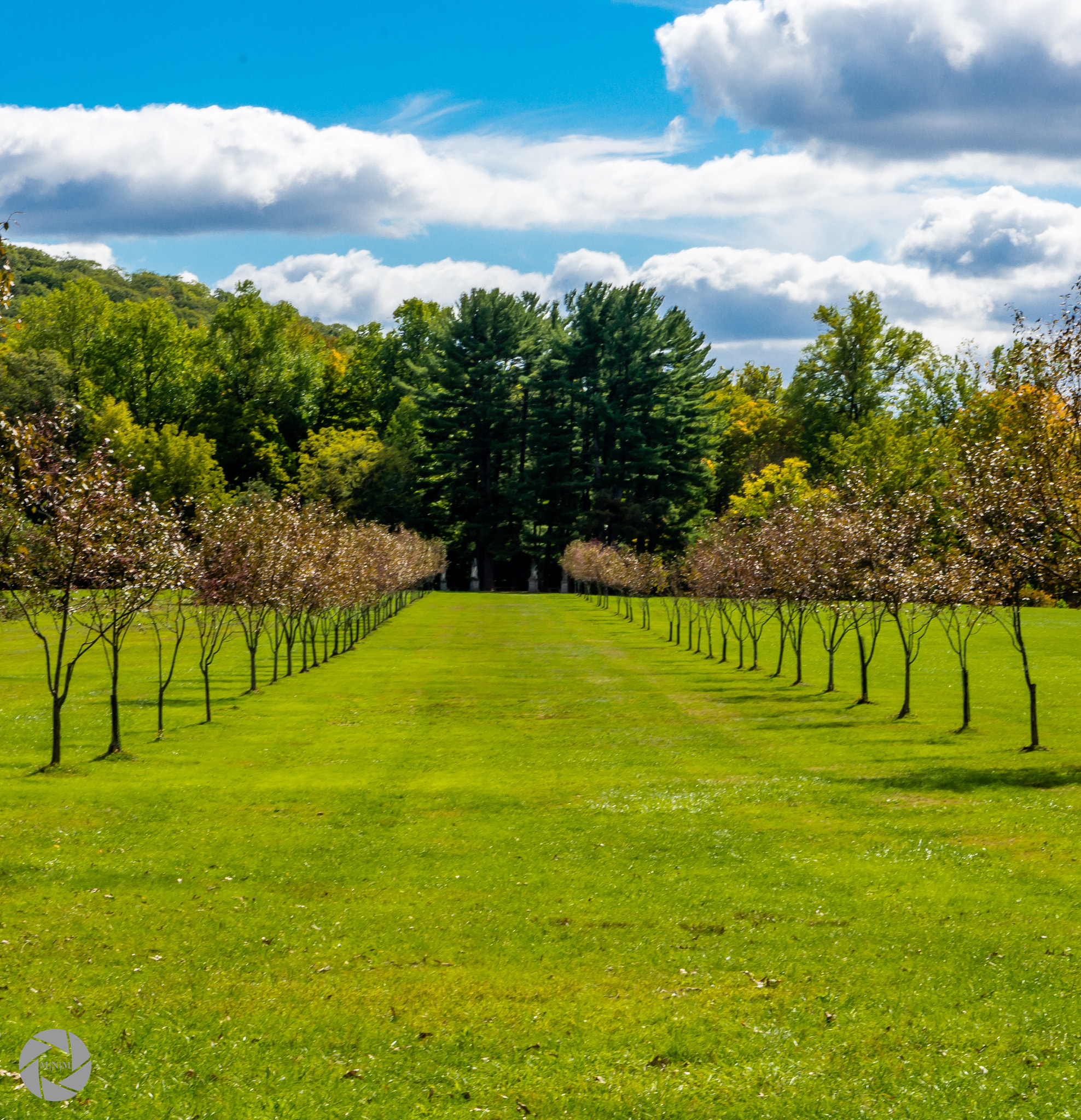 Nikon D7200 sample photo. An old estate photography
