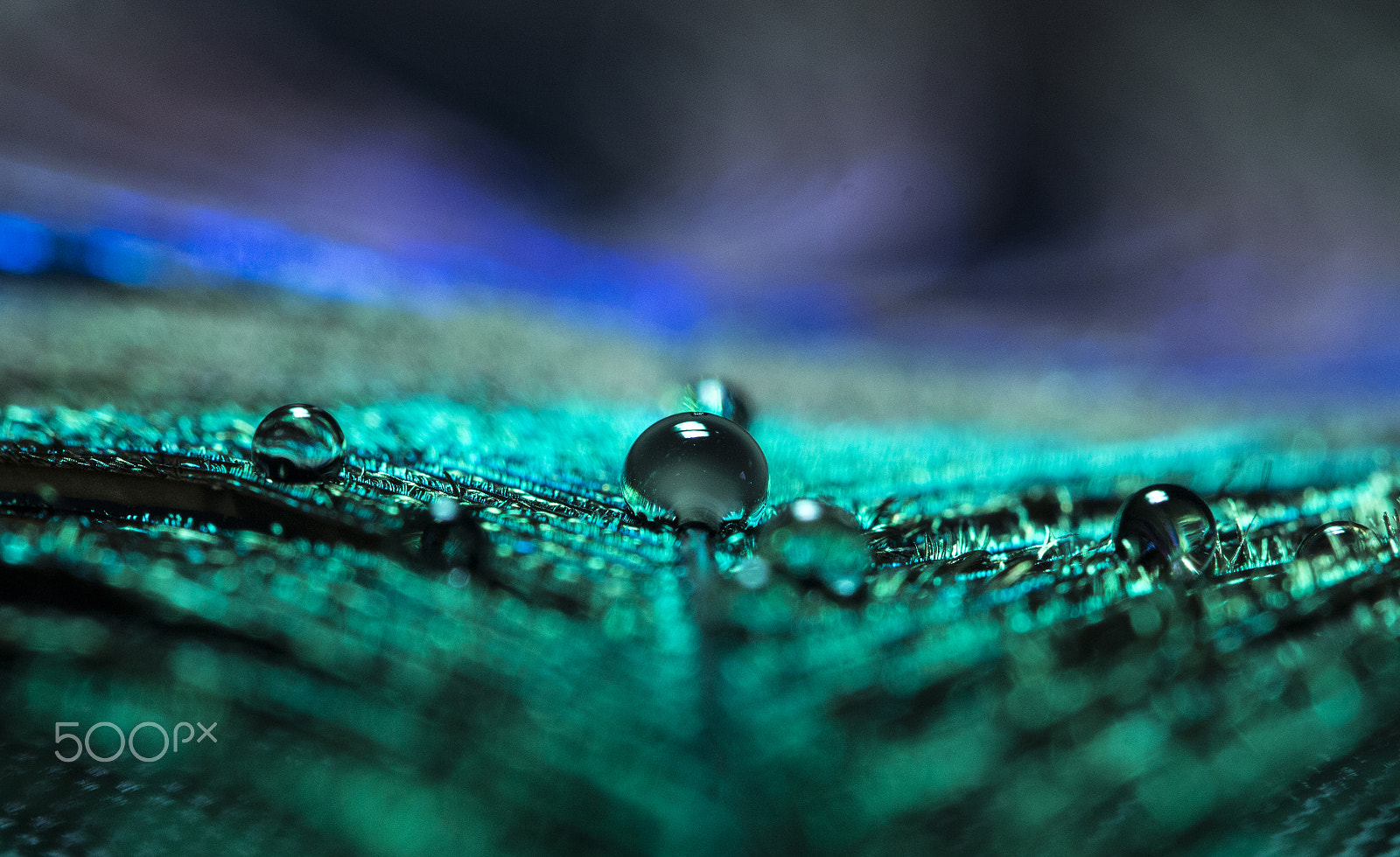 Canon EF 100mm F2.8L Macro IS USM sample photo. Black drop photography
