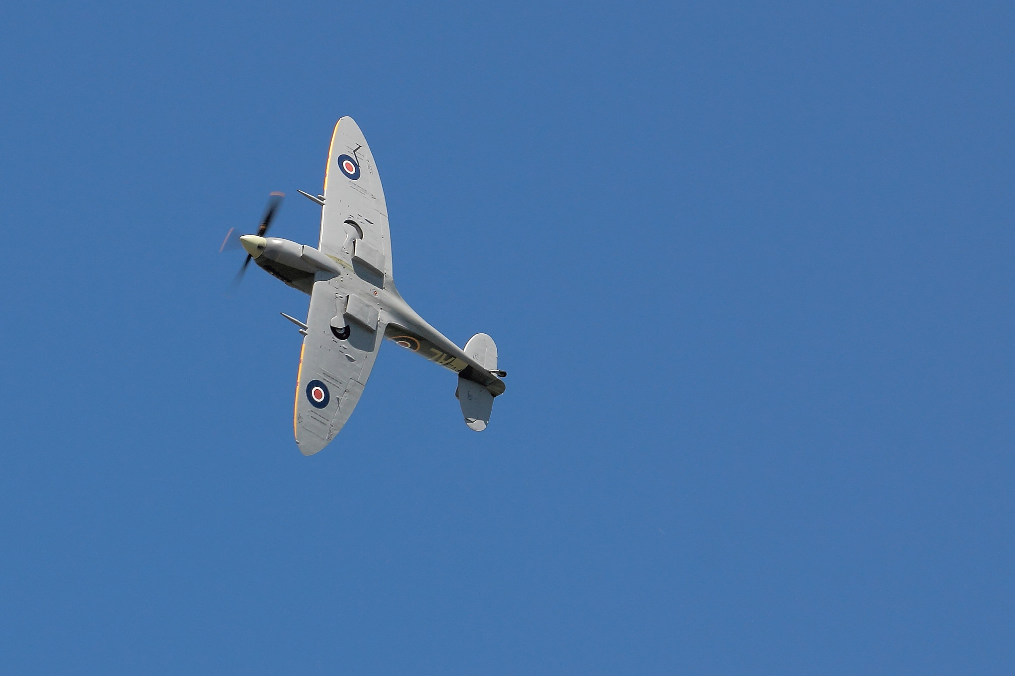 Tamron SP 150-600mm F5-6.3 Di VC USD sample photo. Spitfire photography