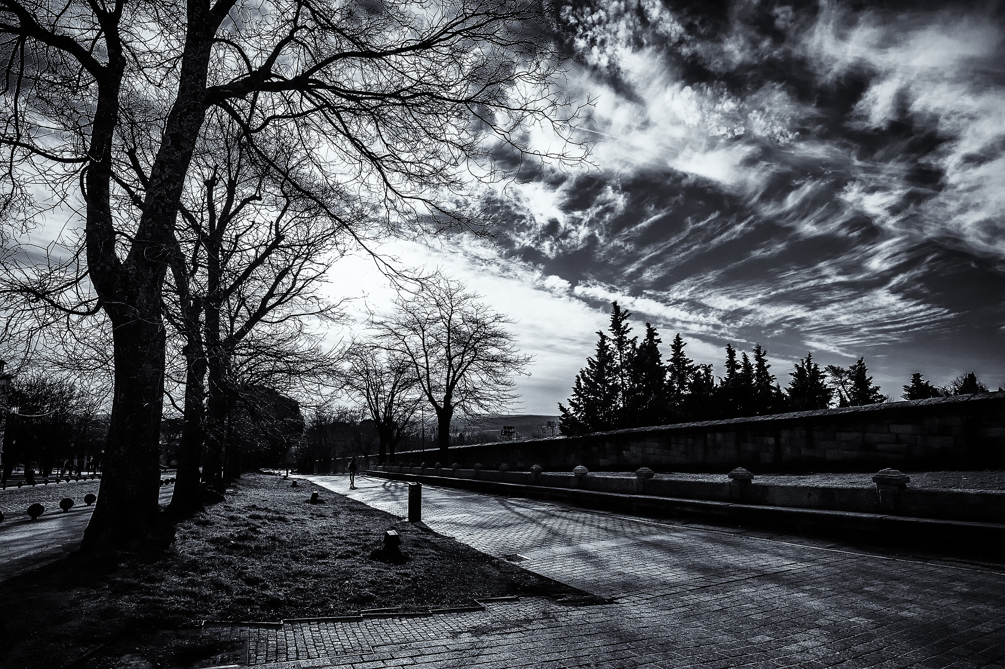 Canon EOS 50D sample photo. Walking photography