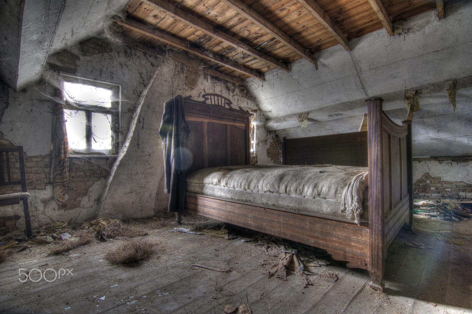 Nikon D500 sample photo. Have a sleep photography