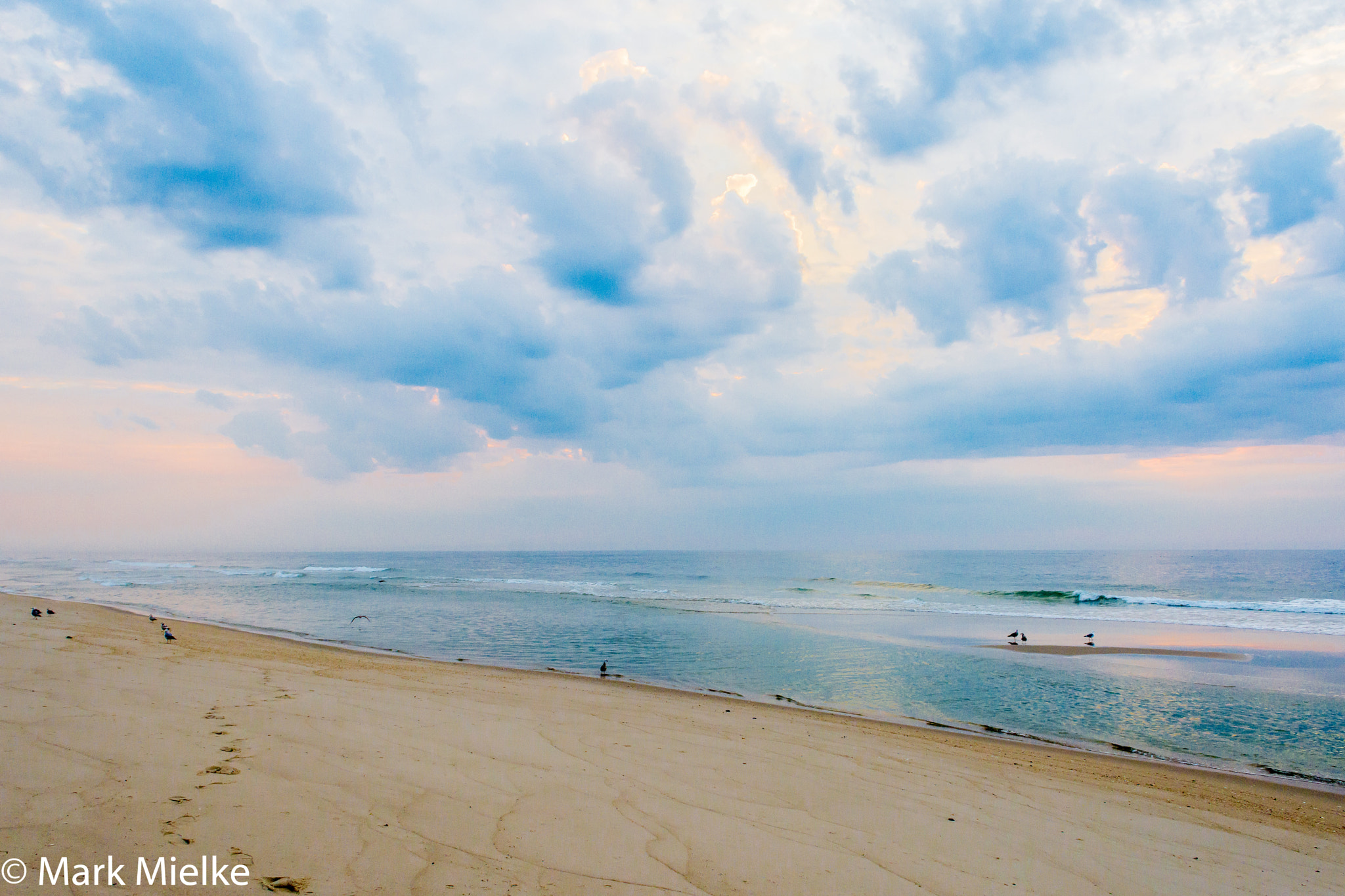 Nikon D7200 sample photo. Believe it or not this is nj photography