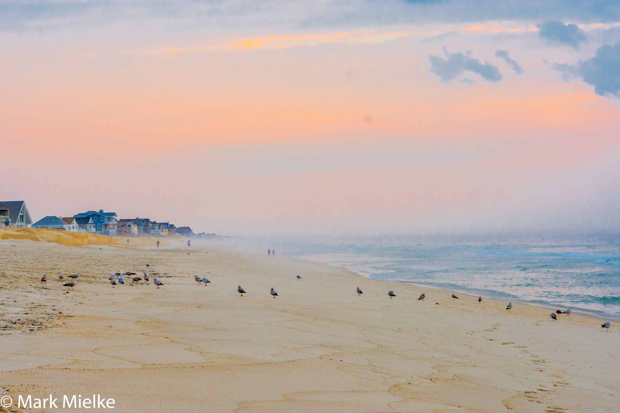 Nikon D7200 sample photo. Seagulls at sunrise photography